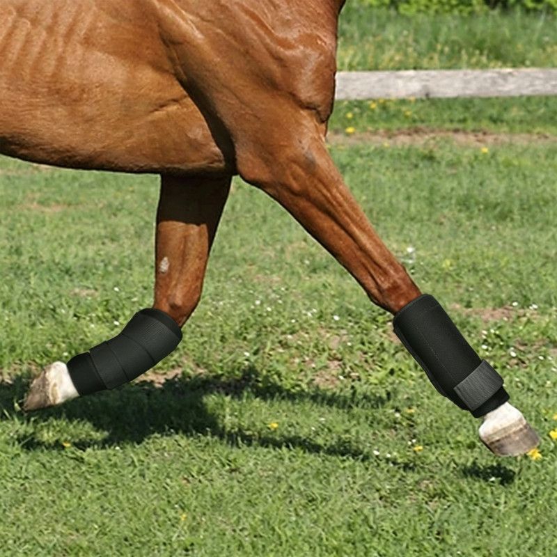 Rubber Horse Leg Wraps – Impact-Resistant & Breathable Leg Guards - Image 4