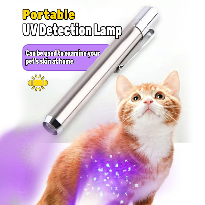 365nm UV Detection Light - Home Use Fluorescent Currency Authentication and Counterfeit Detection - Portable Stainless Steel - Multi-Function UV Detection Light (Batteries Included) - Image 1
