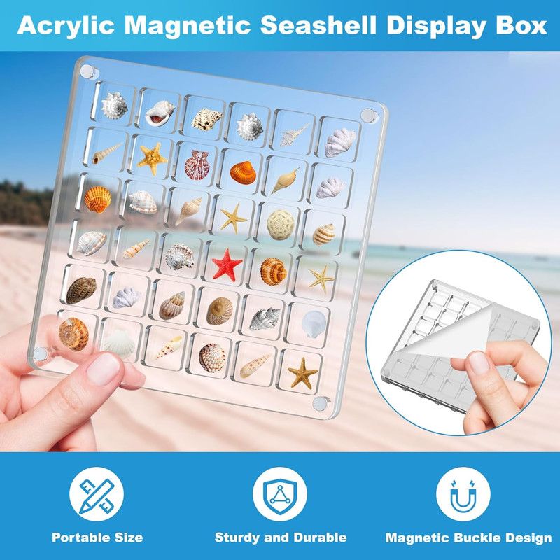 Acrylic Magnetic Seashell Display Box,Clear Sea Shell Display Box,Beach Magnet Storage Organizer Case for Seashell Diamond Beads,36 Grids,Transparent,1 Pack - Image 5