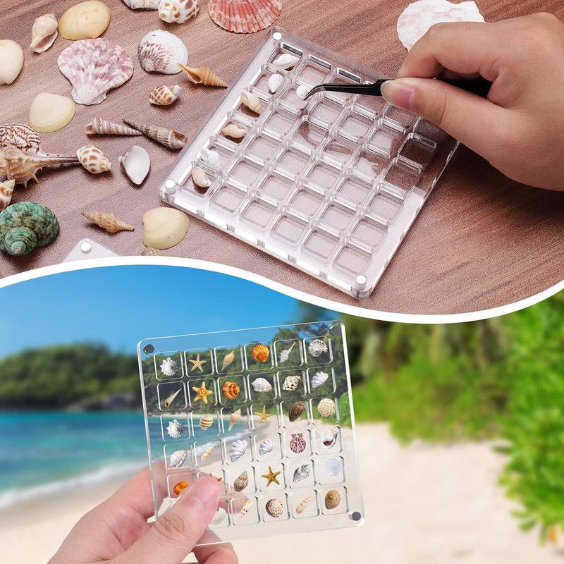 Acrylic Magnetic Seashell Display Box,Clear Sea Shell Display Box,Beach Magnet Storage Organizer Case for Seashell Diamond Beads,100 Grids,Transparent,1 Pack - Image 4