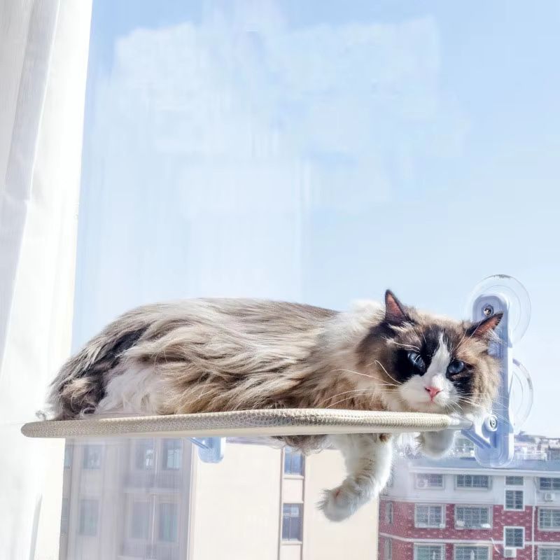 Foldable Window Mount Cat Hammock Suction Cup Hanging Bed All Season - Image 2
