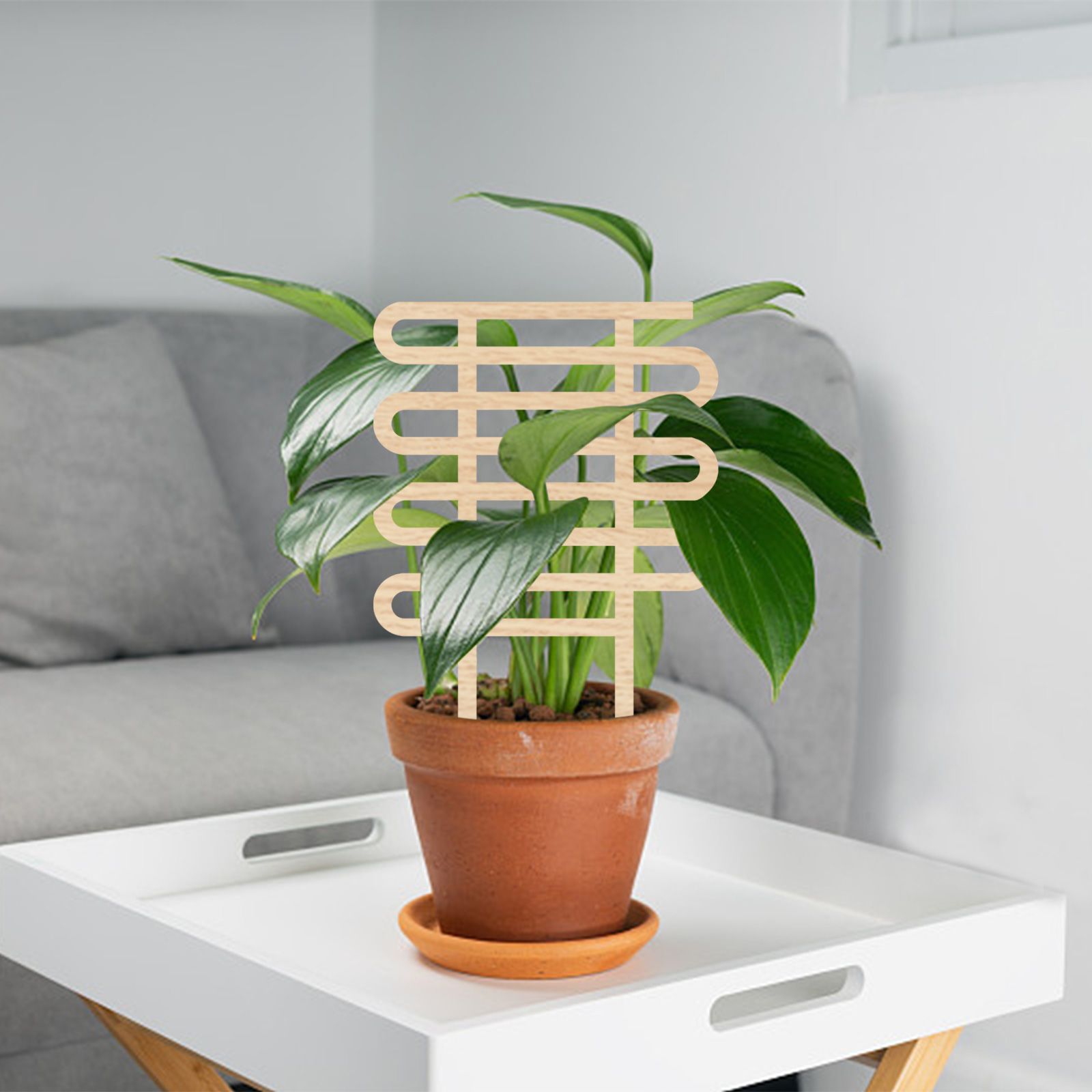 Climbing Vine Fixed Frame China Rose Flower Holder Indoor Flower Plant Support Pole - Image 4