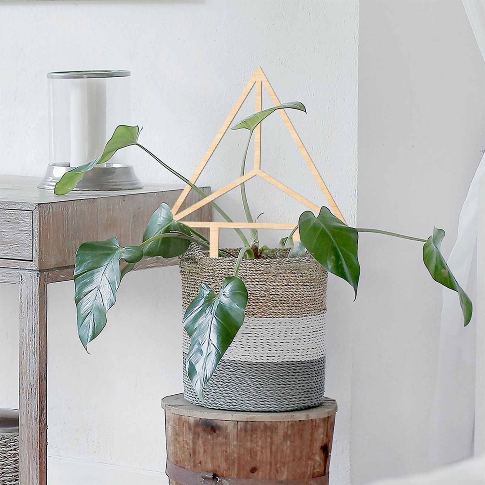 Climbing Vine Fixed Frame China Rose Flower Holder Indoor Flower Plant Support Pole - Image 8