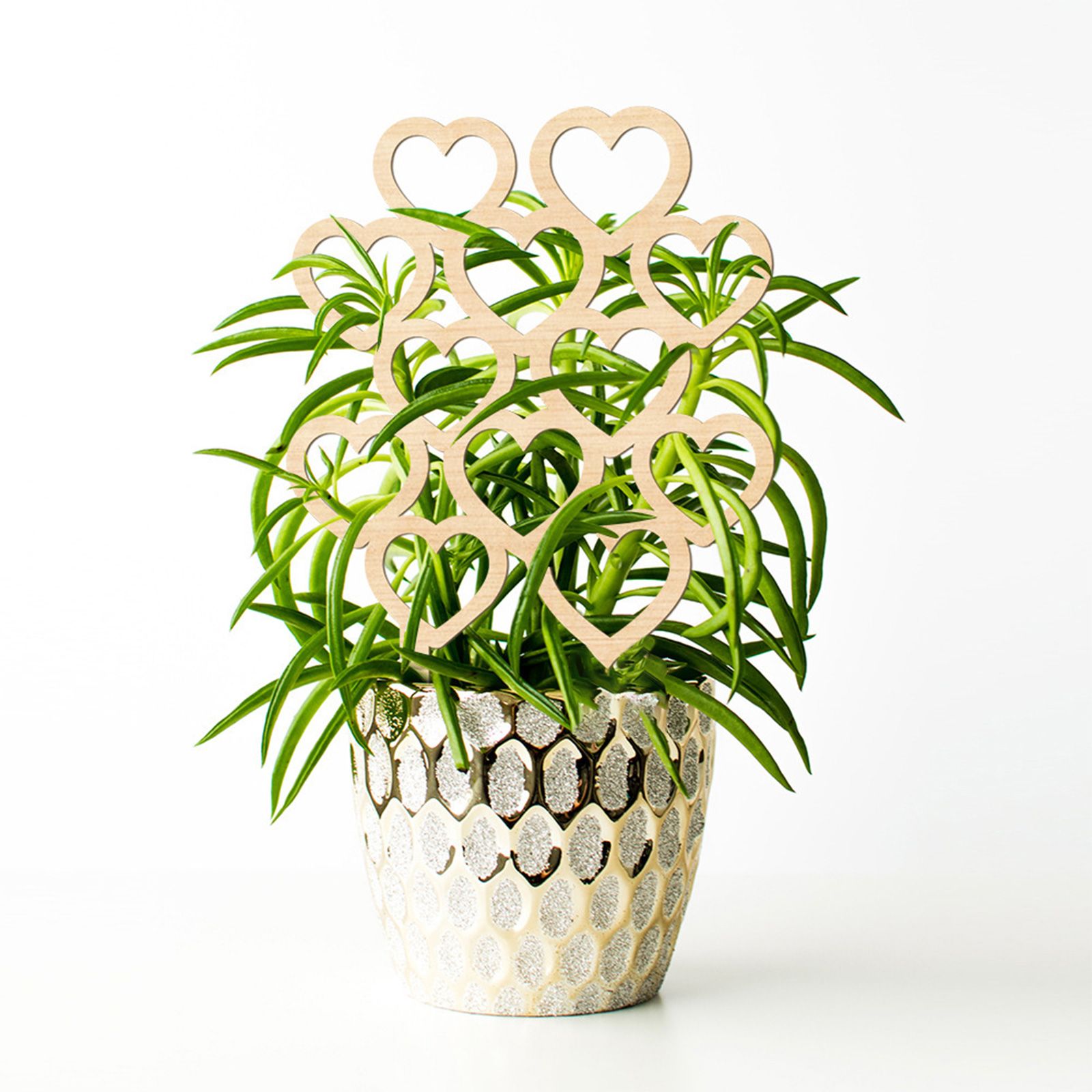 Climbing Vine Fixed Frame China Rose Flower Holder Indoor Flower Plant Support Pole - Image 5