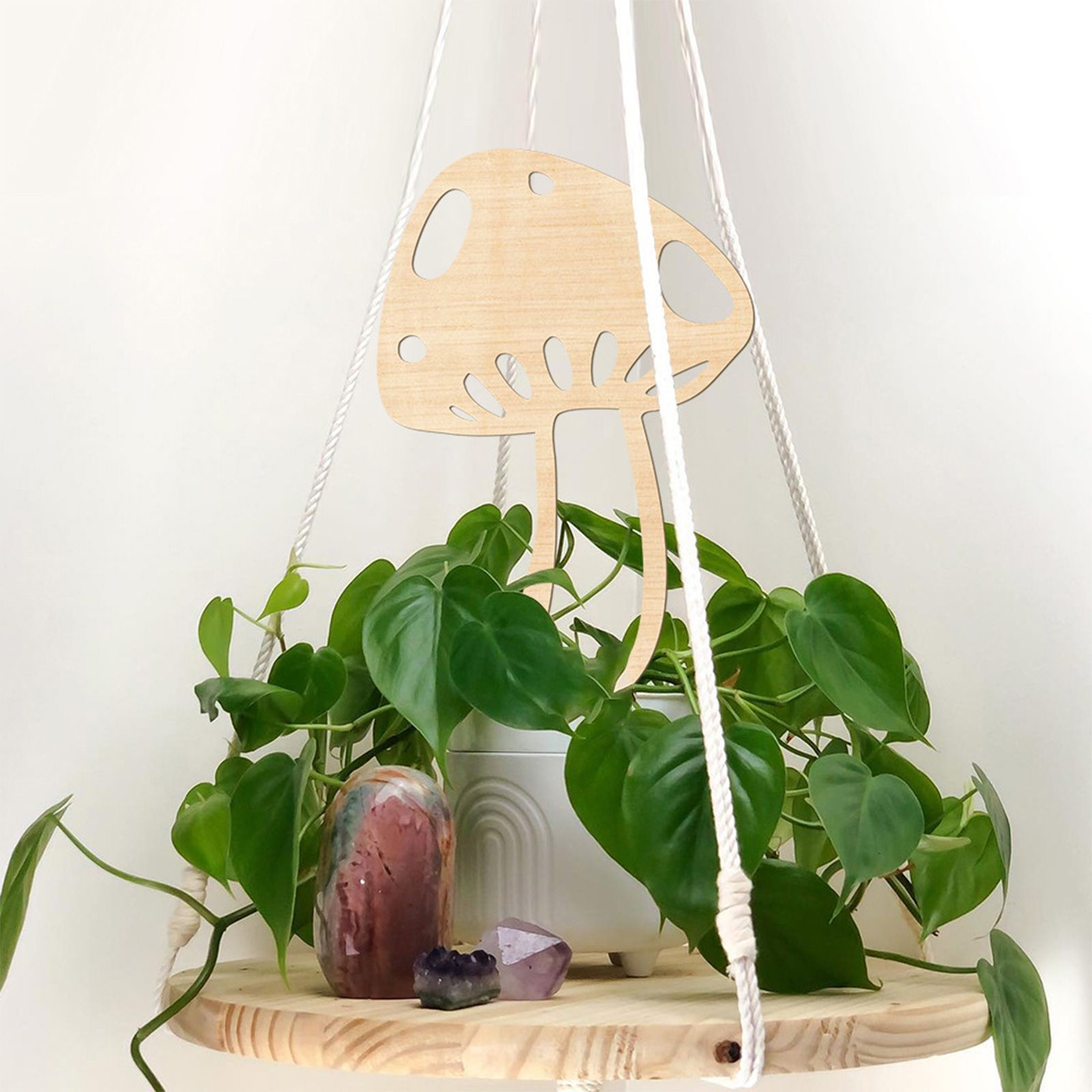 Climbing Vine Fixed Frame China Rose Flower Holder Indoor Flower Plant Support Pole - Image 6