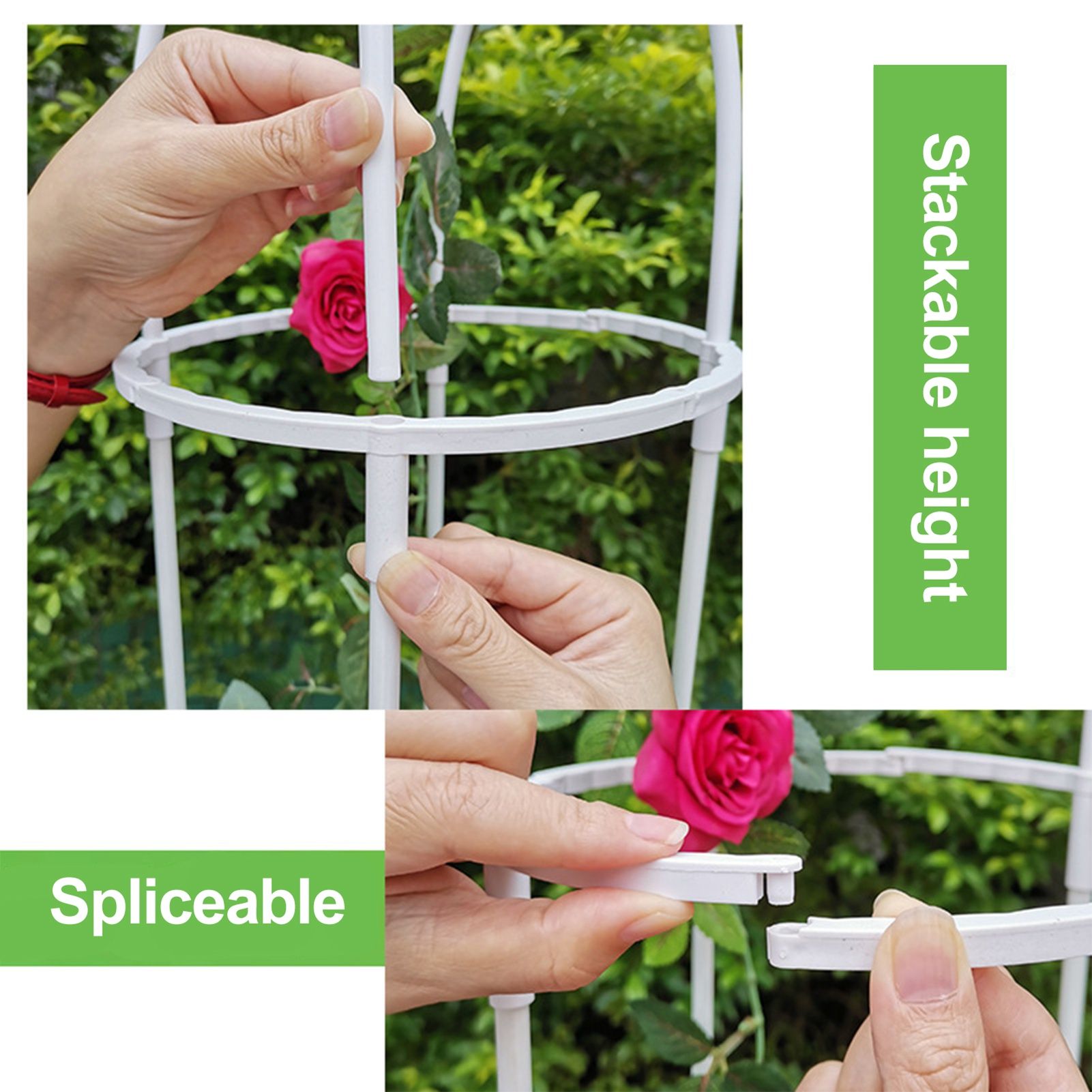Gardening Climbing Vine Plant Climbing Vine Trellis for Climbing Plants - Image 2