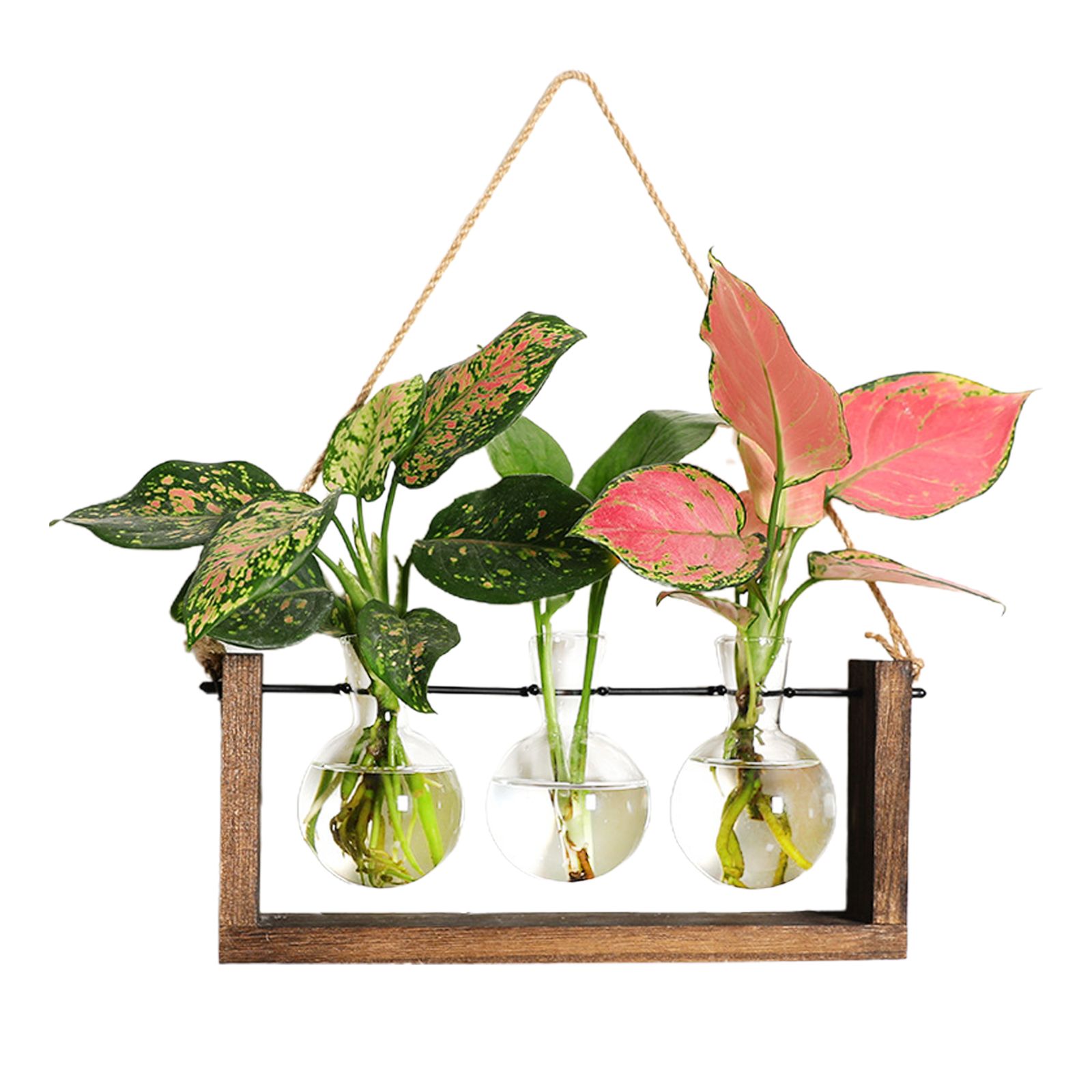 Wall Mounted Hydroponic Vase Green Plant Wooden Frame Vase for Living Room Home Decor - Image 1