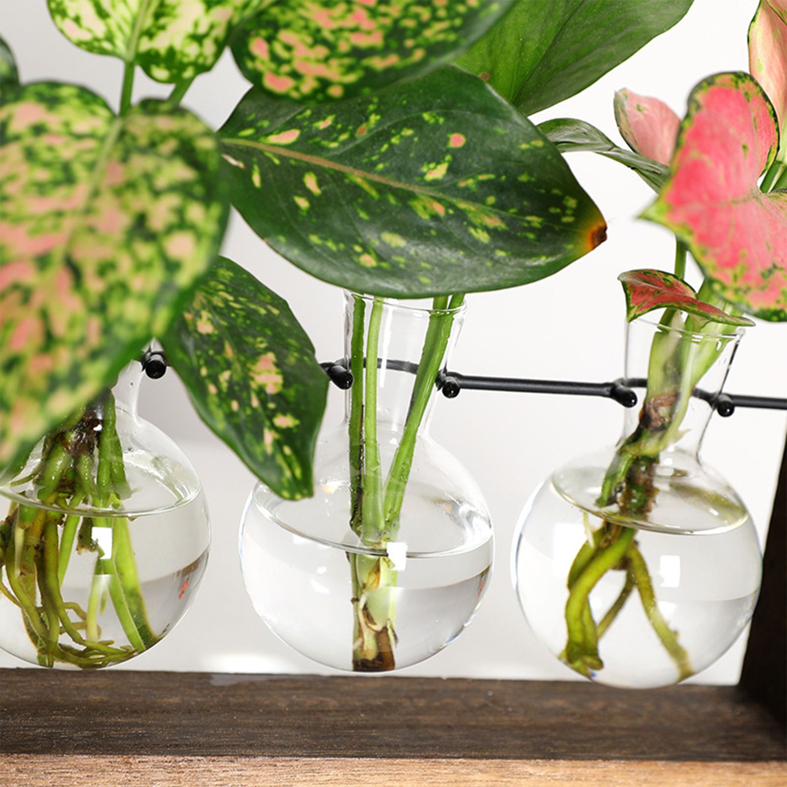 Wall Mounted Hydroponic Vase Green Plant Wooden Frame Vase for Living Room Home Decor - Image 2