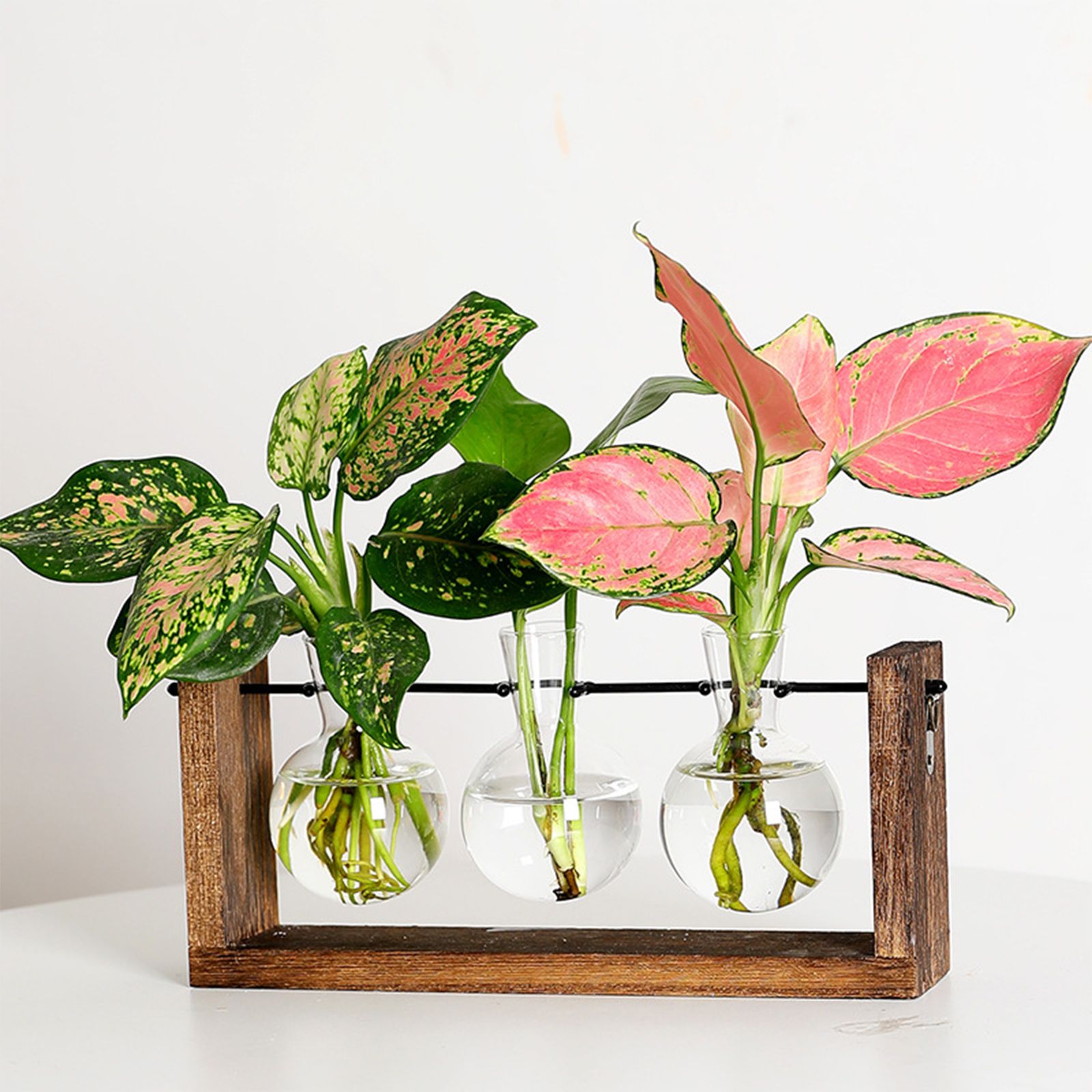 Wall Mounted Hydroponic Vase Green Plant Wooden Frame Vase for Living Room Home Decor - Image 5