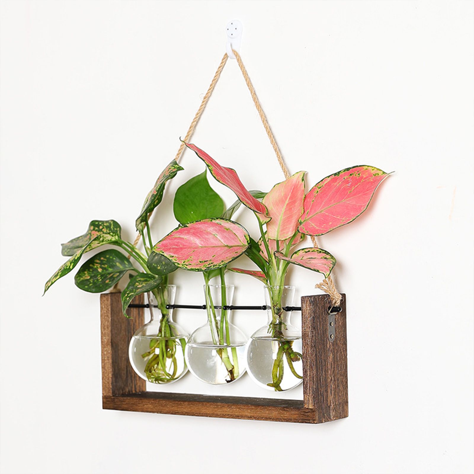 Wall Mounted Hydroponic Vase Green Plant Wooden Frame Vase for Living Room Home Decor - Image 6
