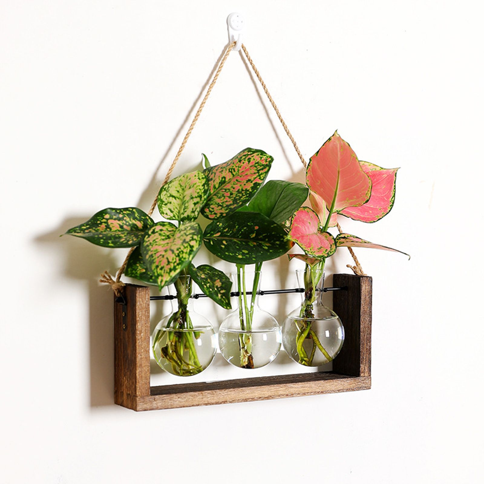 Wall Mounted Hydroponic Vase Green Plant Wooden Frame Vase for Living Room Home Decor - Image 7