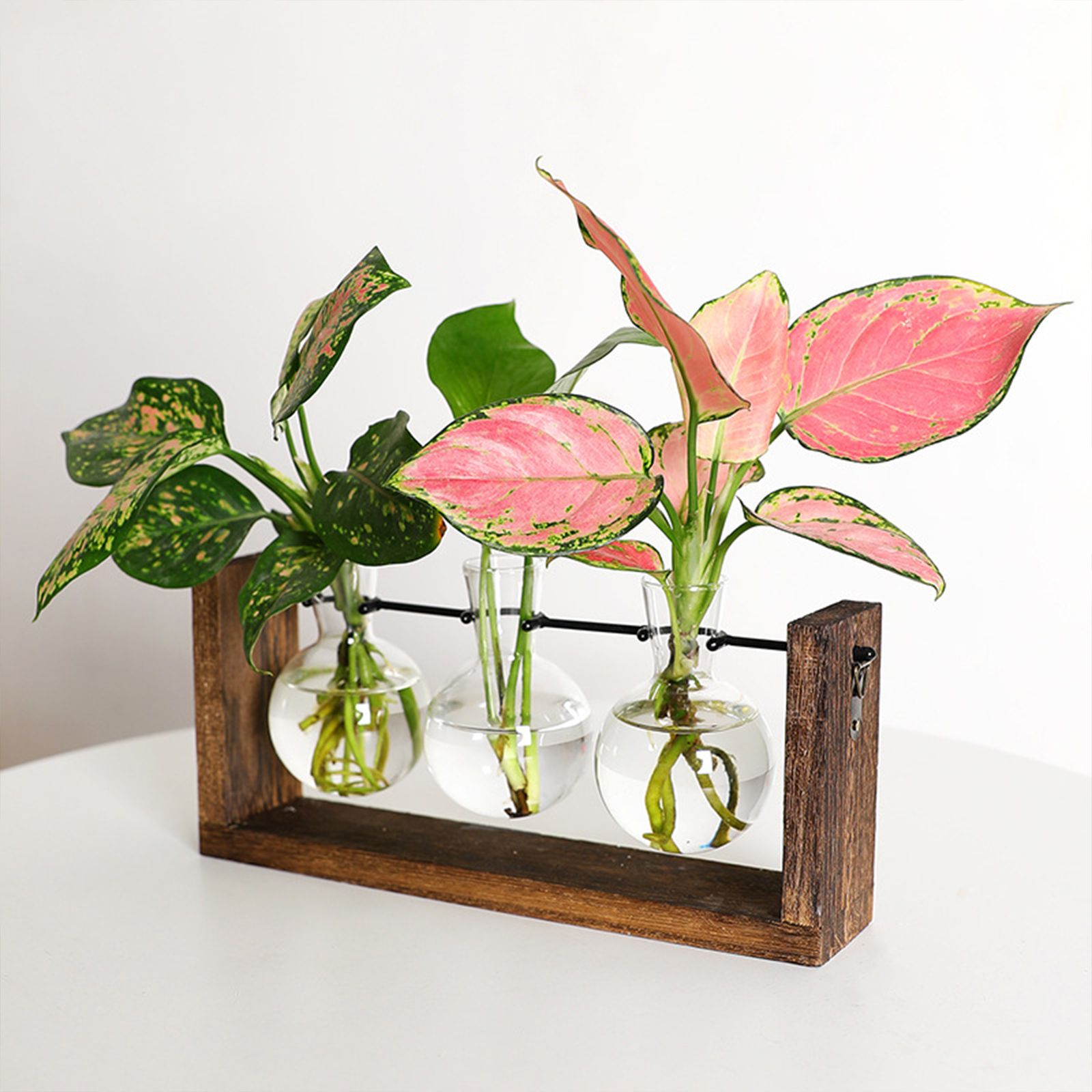 Wall Mounted Hydroponic Vase Green Plant Wooden Frame Vase for Living Room Home Decor - Image 8