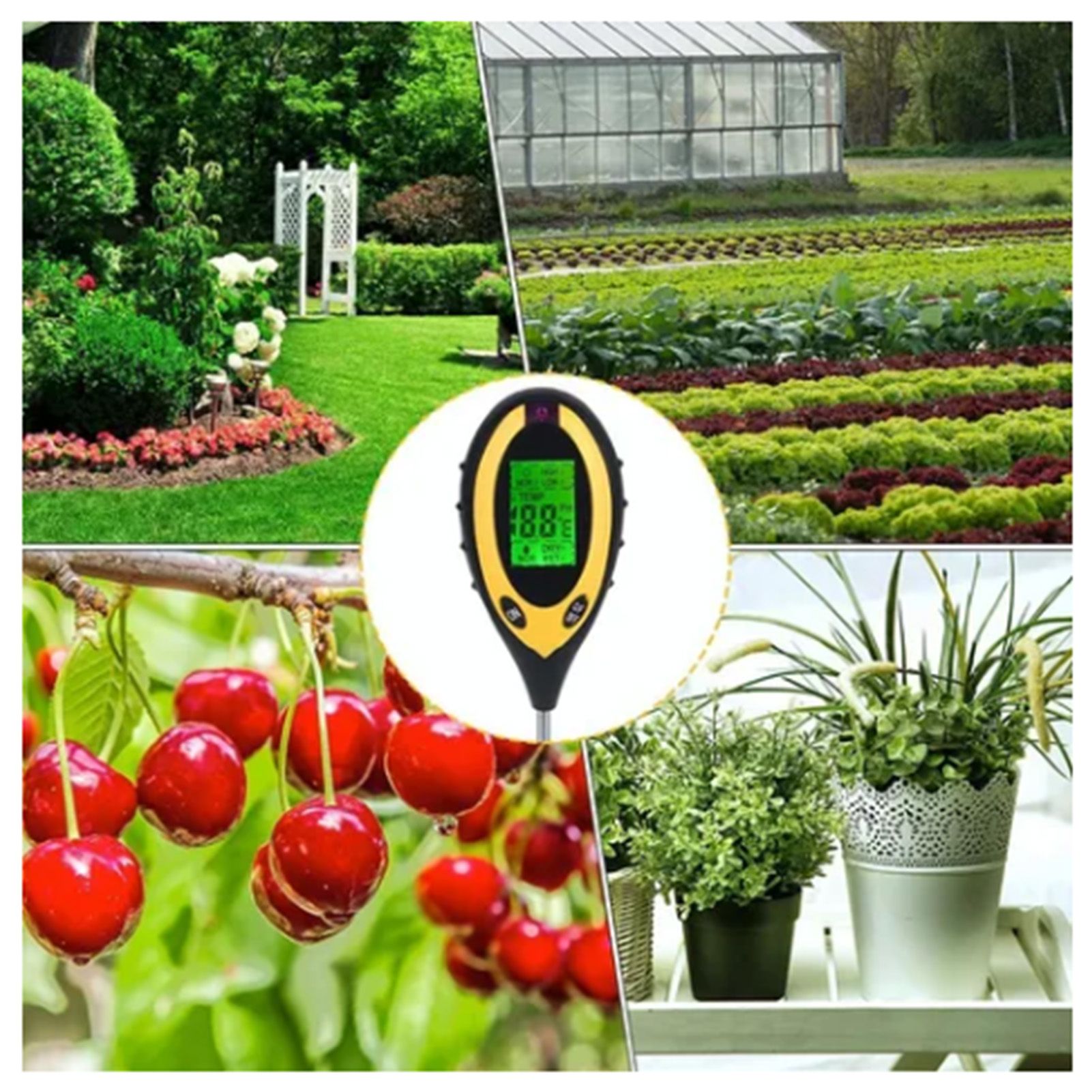 4 In 1 Soil Meter Temperature Sunlight Moisture PH Soil Tester for Family Orchard Agriculture Rice Vegetable Cultivation - Image 6