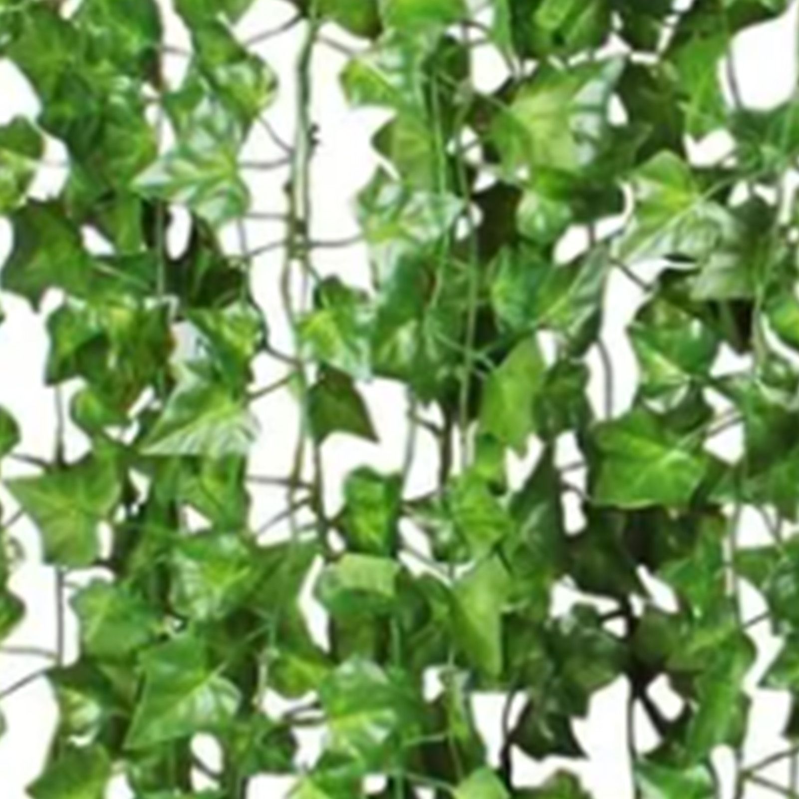 Simulated Ivy Cane Creeper Ivy Decorative Green Plants Ceiling Artificial Vine Eucalyptus Leaves 12PCS - Image 8