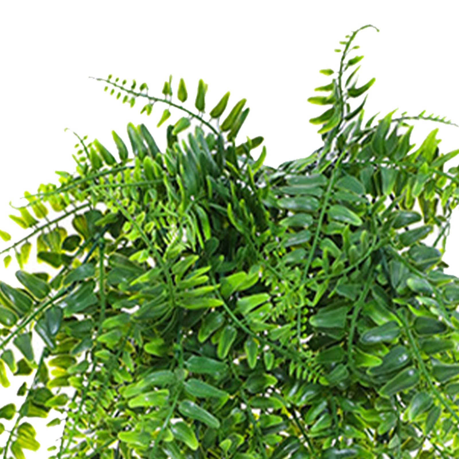 2pcs Artificial Hanging Plants Fern Plastic Green Fake Wall Hanging Ferns Plants for Garden Wedding Decoration - Image 8
