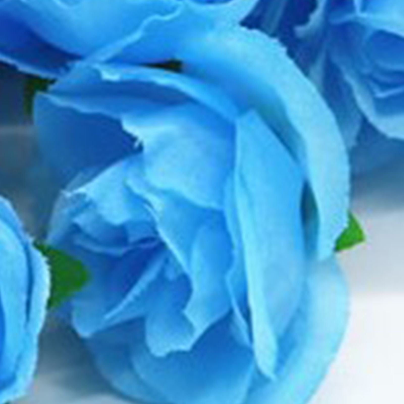 50PCS Simulation Rose Head Decorative Reusable Silk Fake Rose Flower for Wedding Party Blue - Image 7