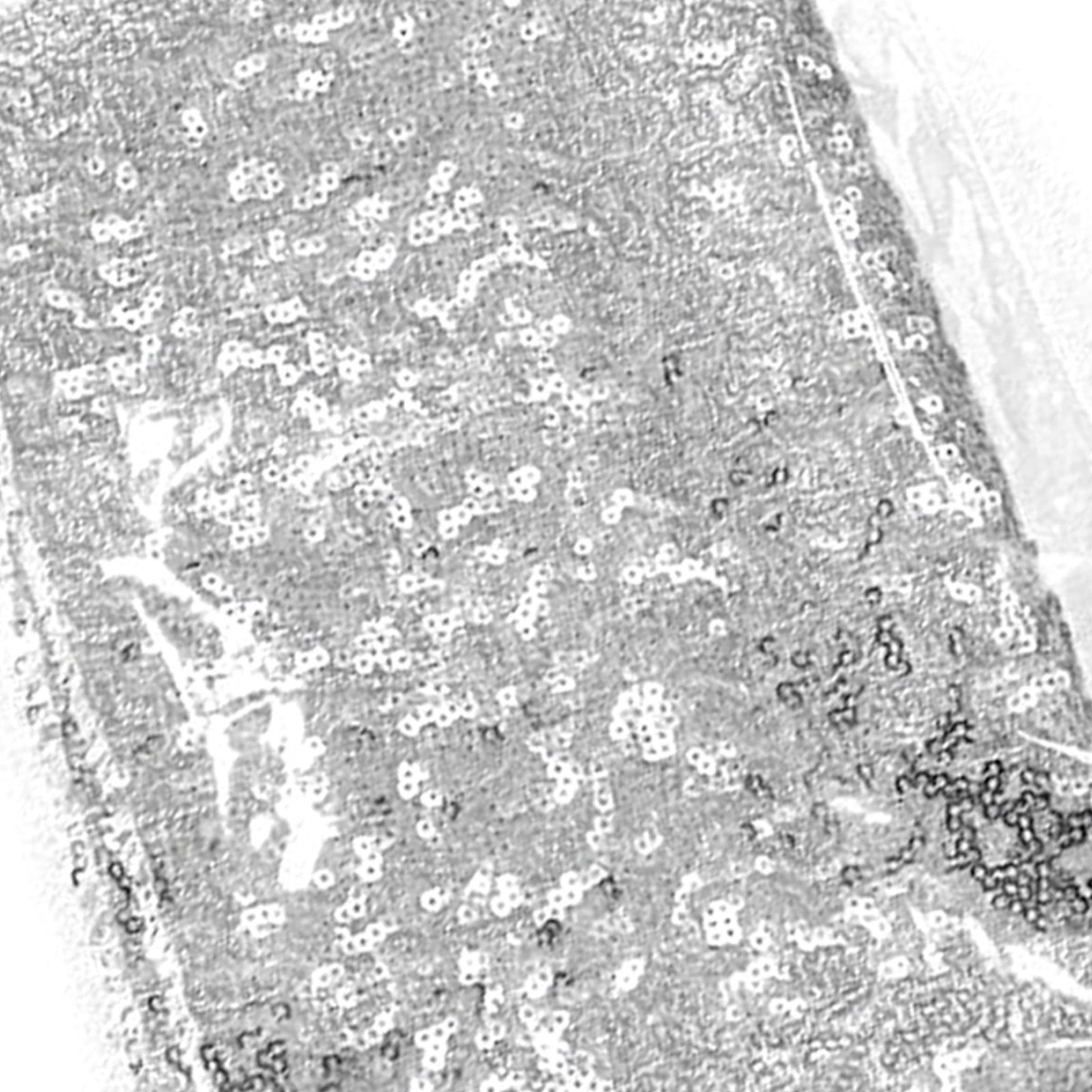 Tablecloth Polyester Fiber with Gold Sequins Table Cover for Table Home Wedding Decoration Argent 30x300cm/11.8x118.1in - Image 6