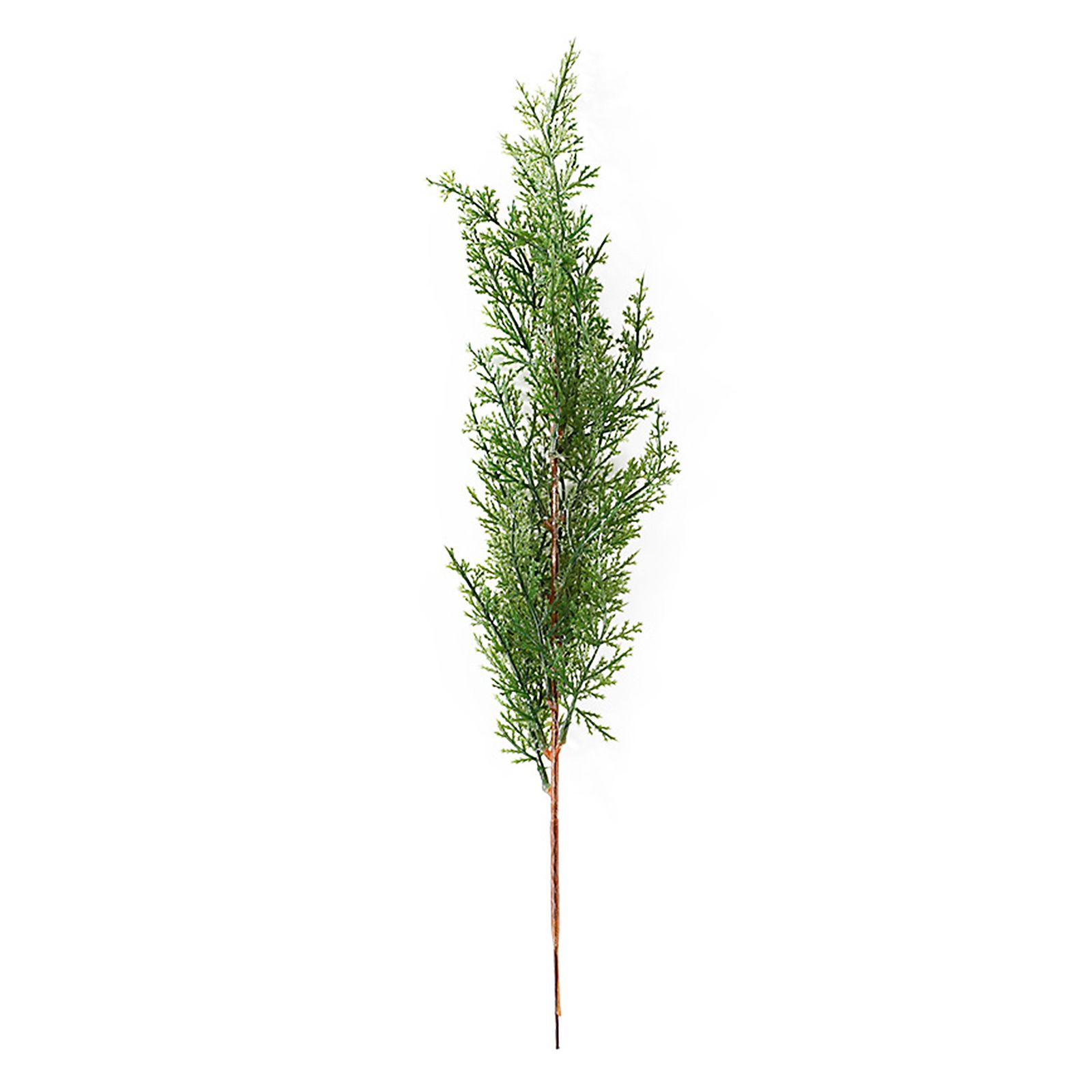 Simulation of Cypress Branches Leaves Simulation Plants for Home Decoration - Image 1