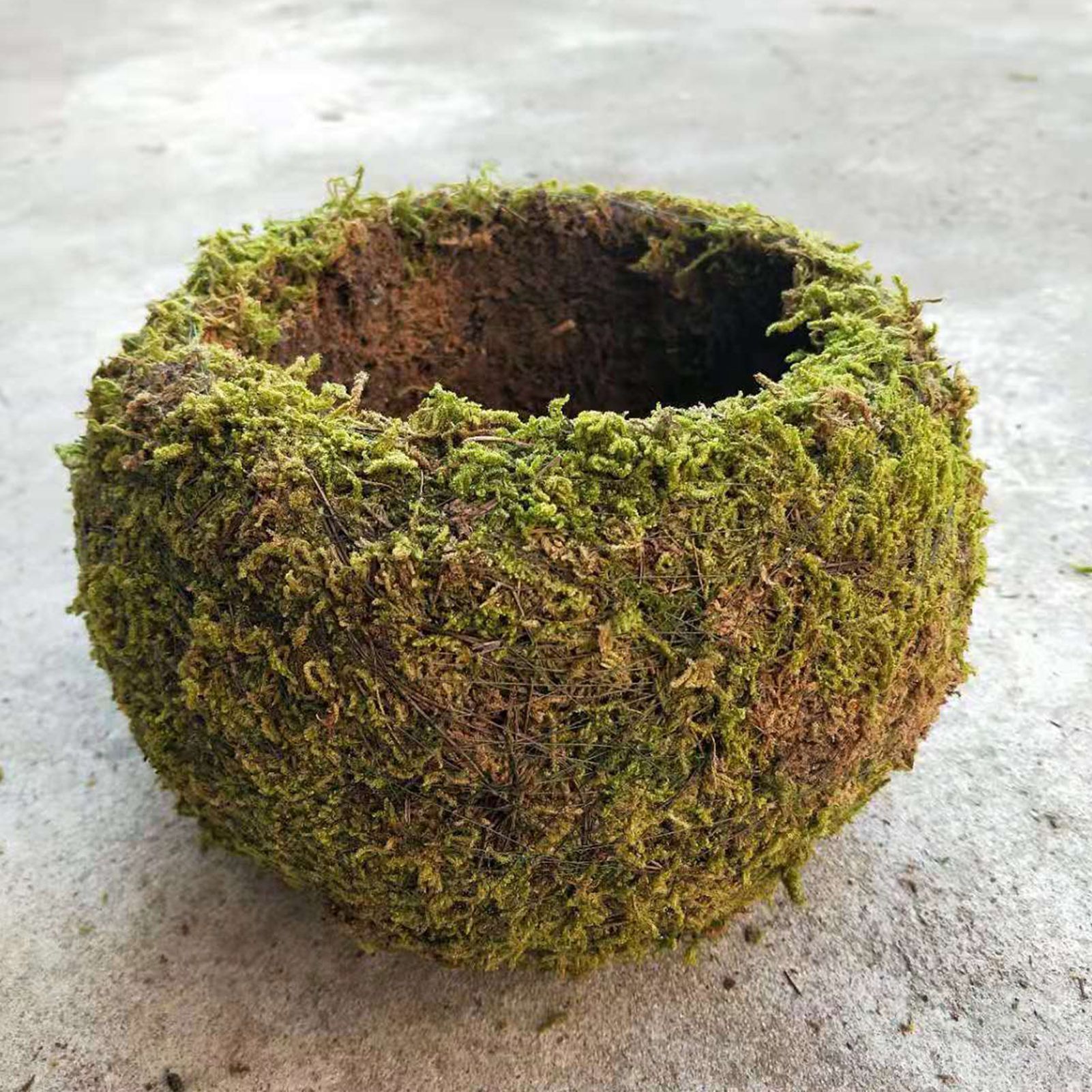 Japanese Style Moss Ball Gardening Potted Plant Moss Flower Pot - Image 2