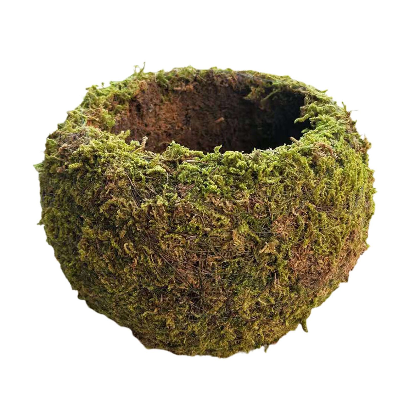 Japanese Style Moss Ball Gardening Potted Plant Moss Flower Pot - Image 1