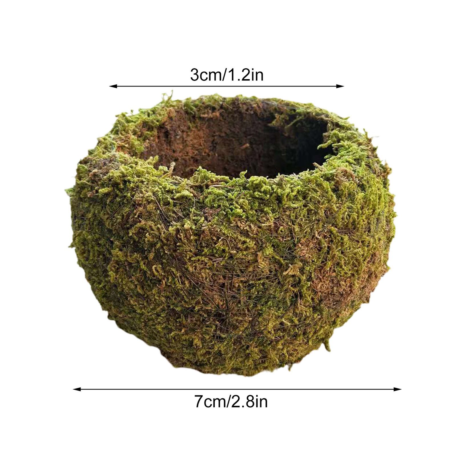 Japanese Style Moss Ball Gardening Potted Plant Moss Flower Pot - Image 3