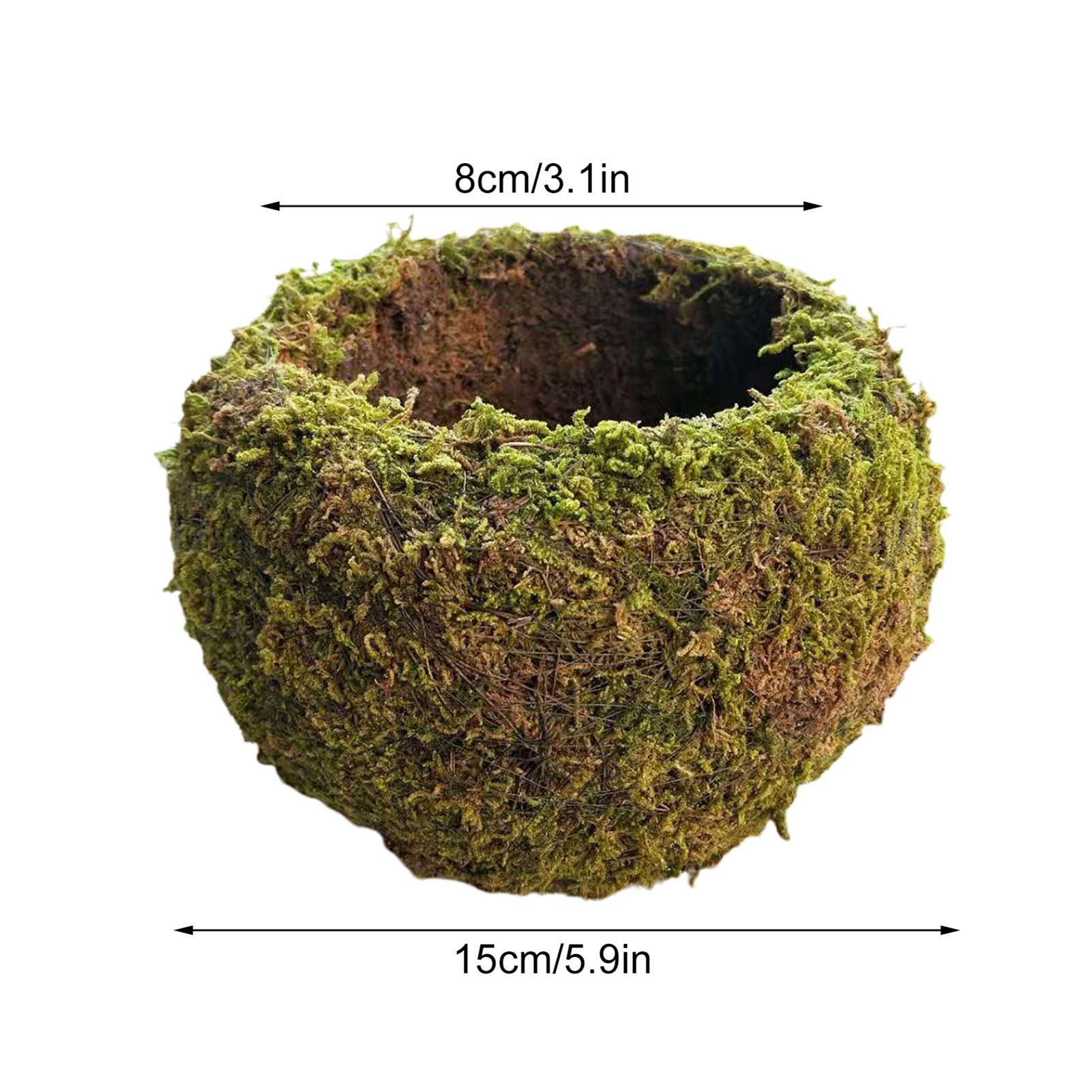 Japanese Style Moss Ball Gardening Potted Plant Moss Flower Pot - Image 4