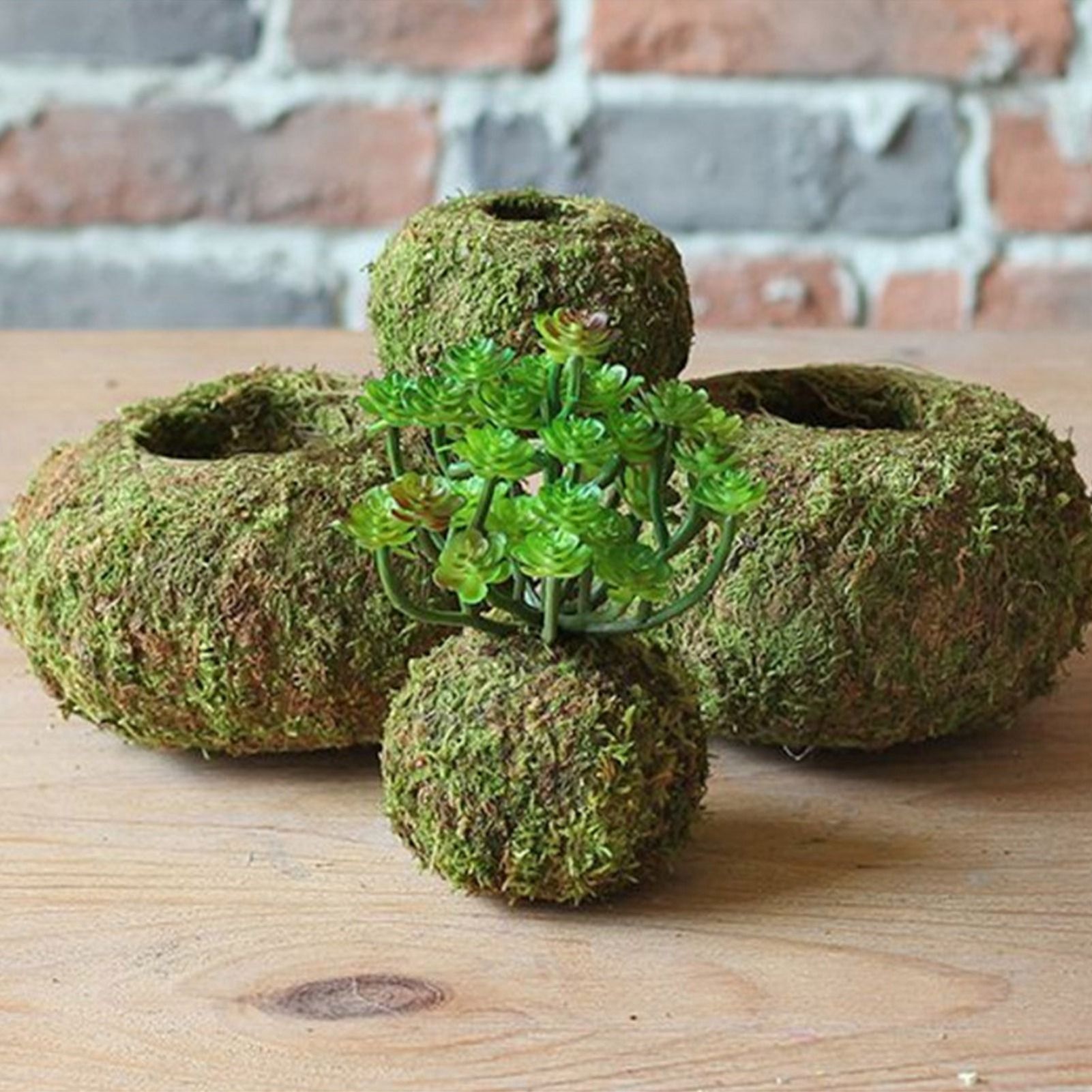Japanese Style Moss Ball Gardening Potted Plant Moss Flower Pot - Image 5