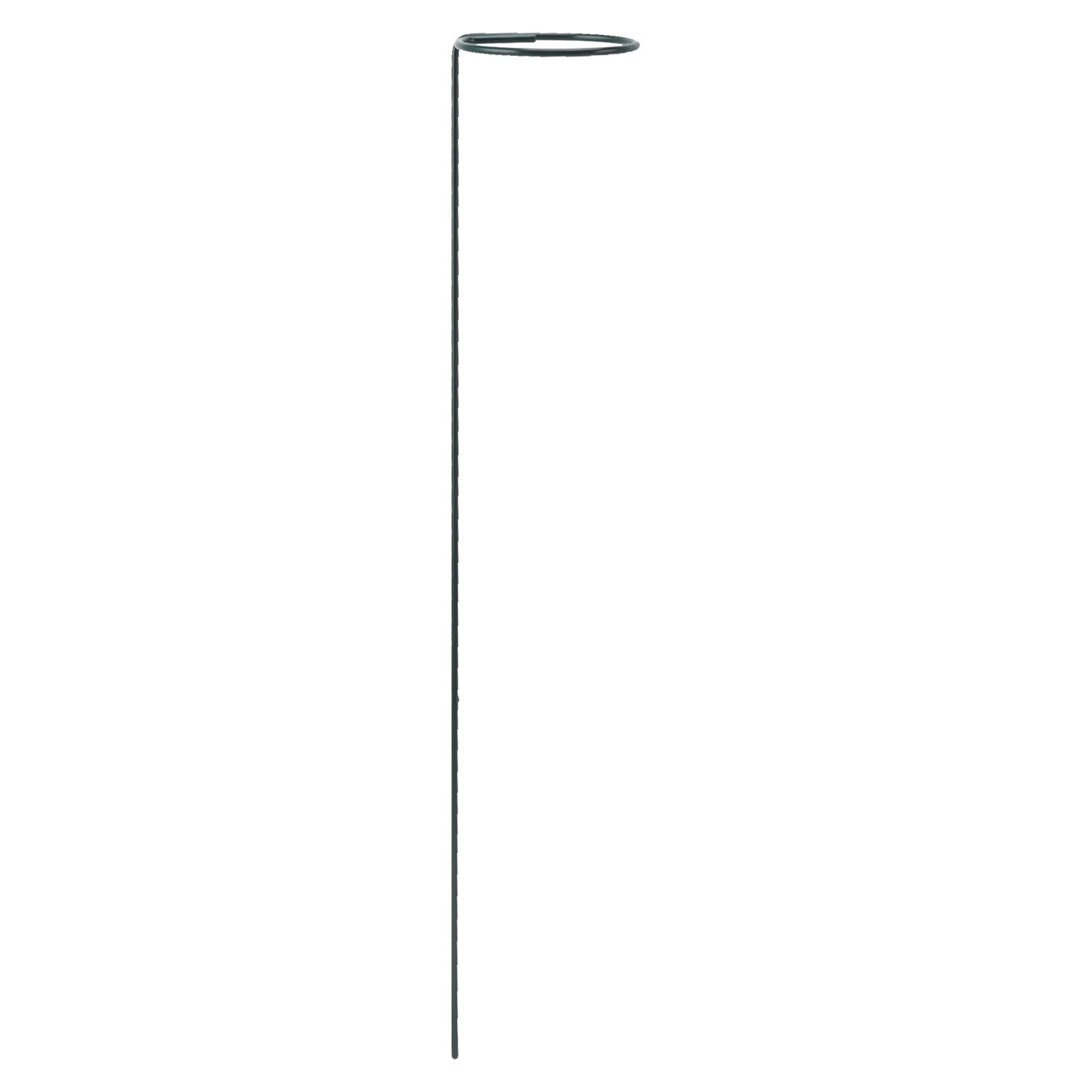 12Pcs Plant Stakes Reusable Plant Sticks Support Anti Rust Stem Flower Support for Home Garden Yard Farm - Image 5