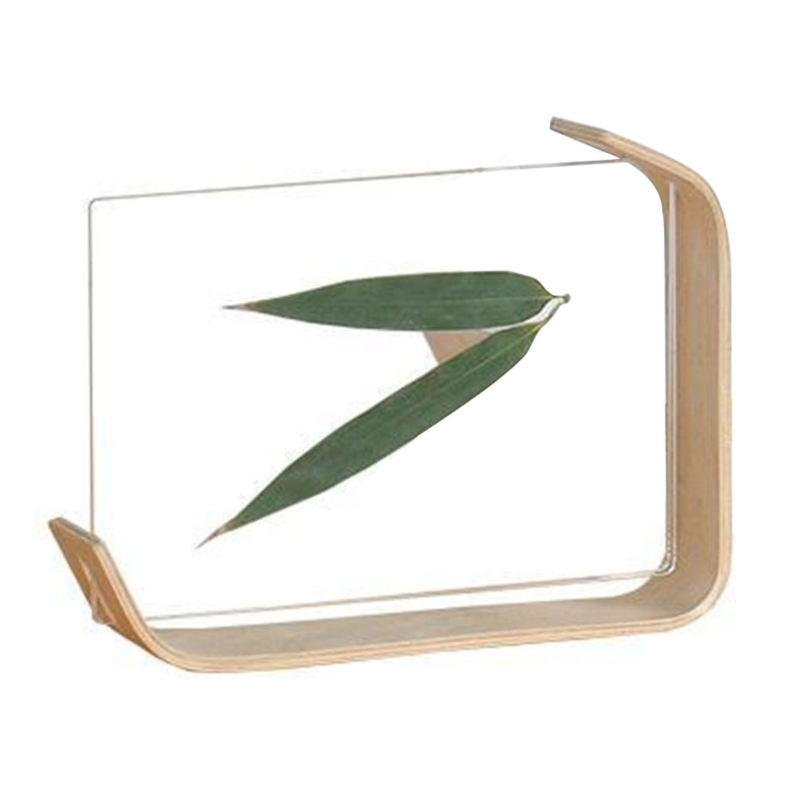 Desktop Plant Specimen Frame Wooden Acrylic Simple Modern Photo Frame Desktop Ornament Home Decoration - Image 1