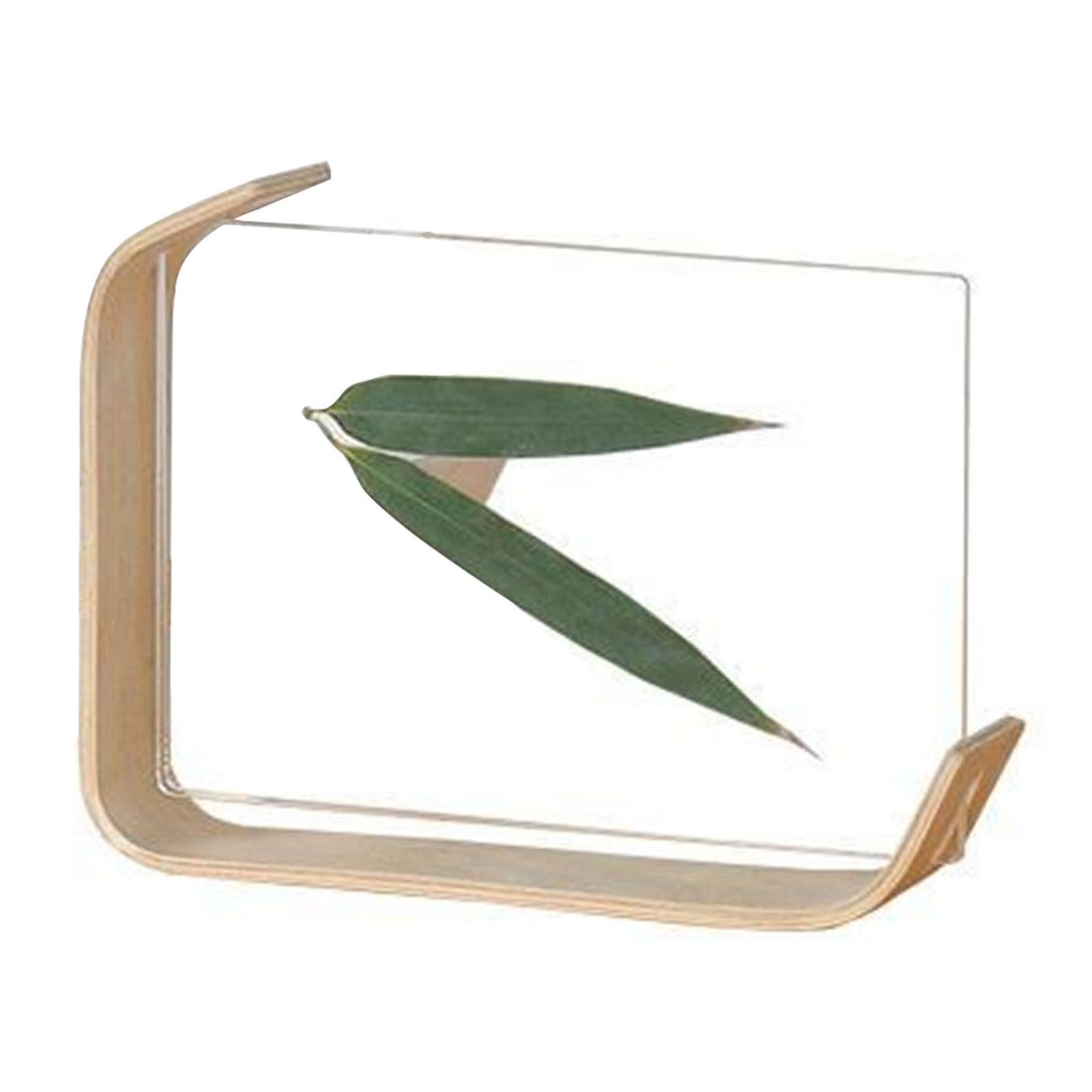 Desktop Plant Specimen Frame Wooden Acrylic Simple Modern Photo Frame Desktop Ornament Home Decoration - Image 2