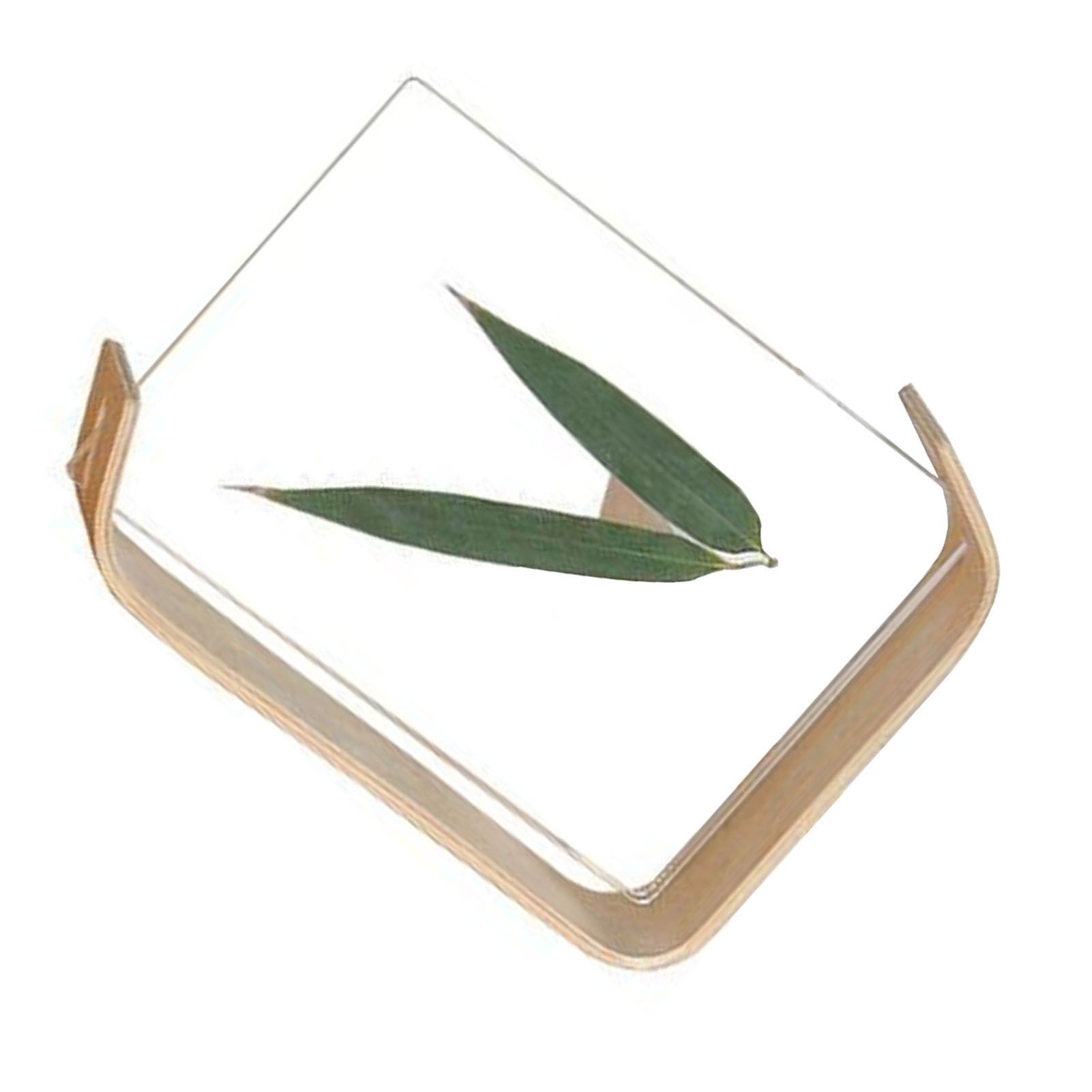 Desktop Plant Specimen Frame Wooden Acrylic Simple Modern Photo Frame Desktop Ornament Home Decoration - Image 3