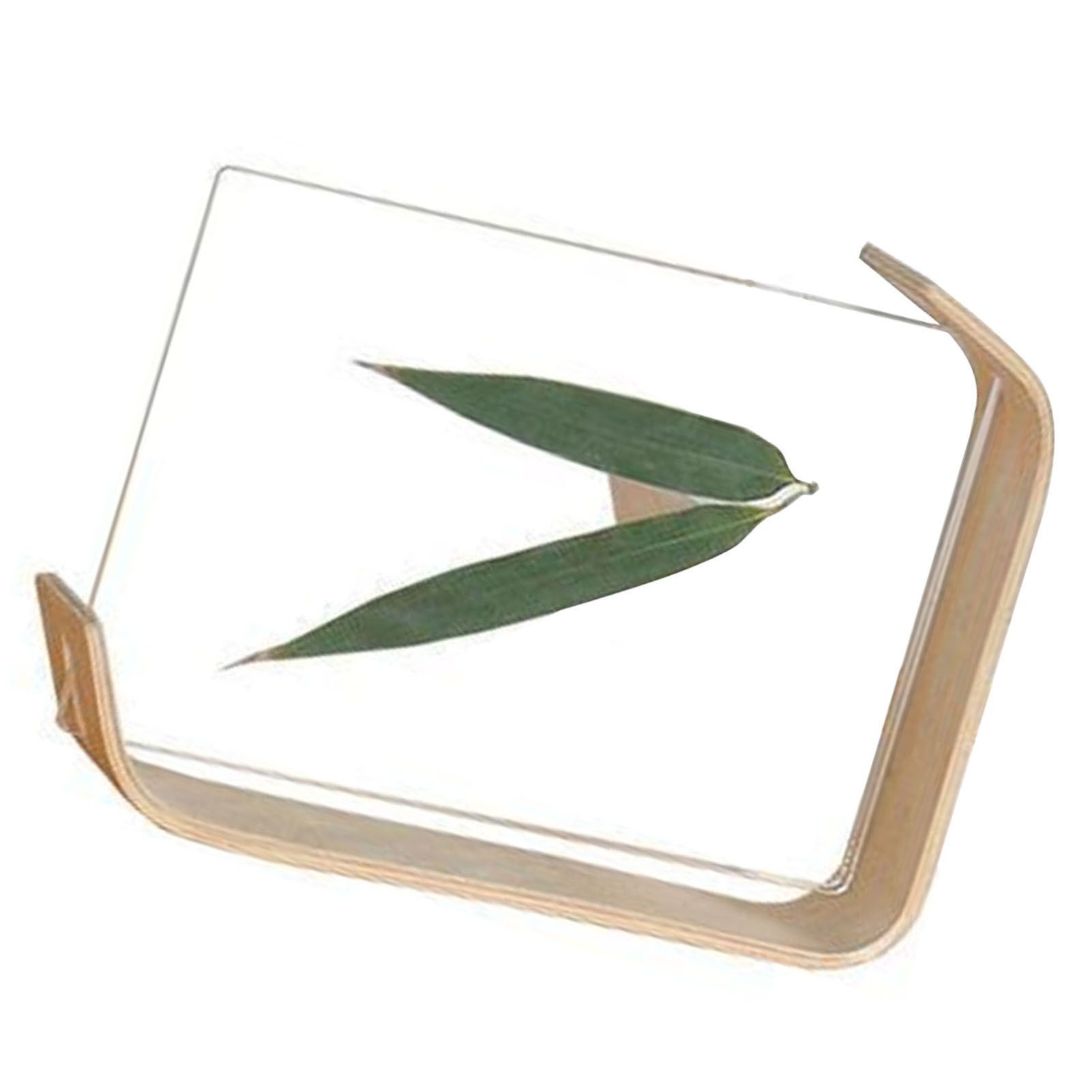 Desktop Plant Specimen Frame Wooden Acrylic Simple Modern Photo Frame Desktop Ornament Home Decoration - Image 5