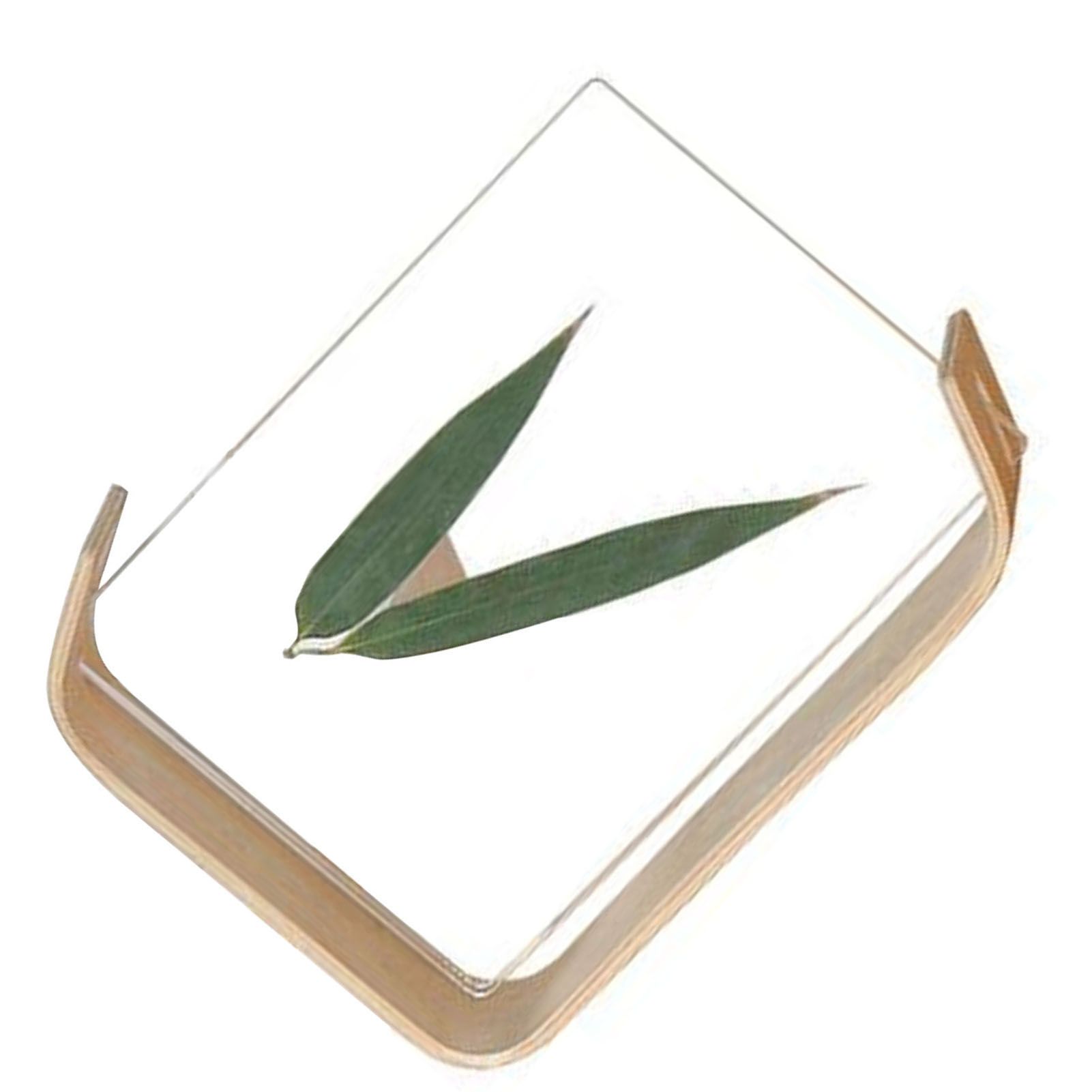 Desktop Plant Specimen Frame Wooden Acrylic Simple Modern Photo Frame Desktop Ornament Home Decoration - Image 6