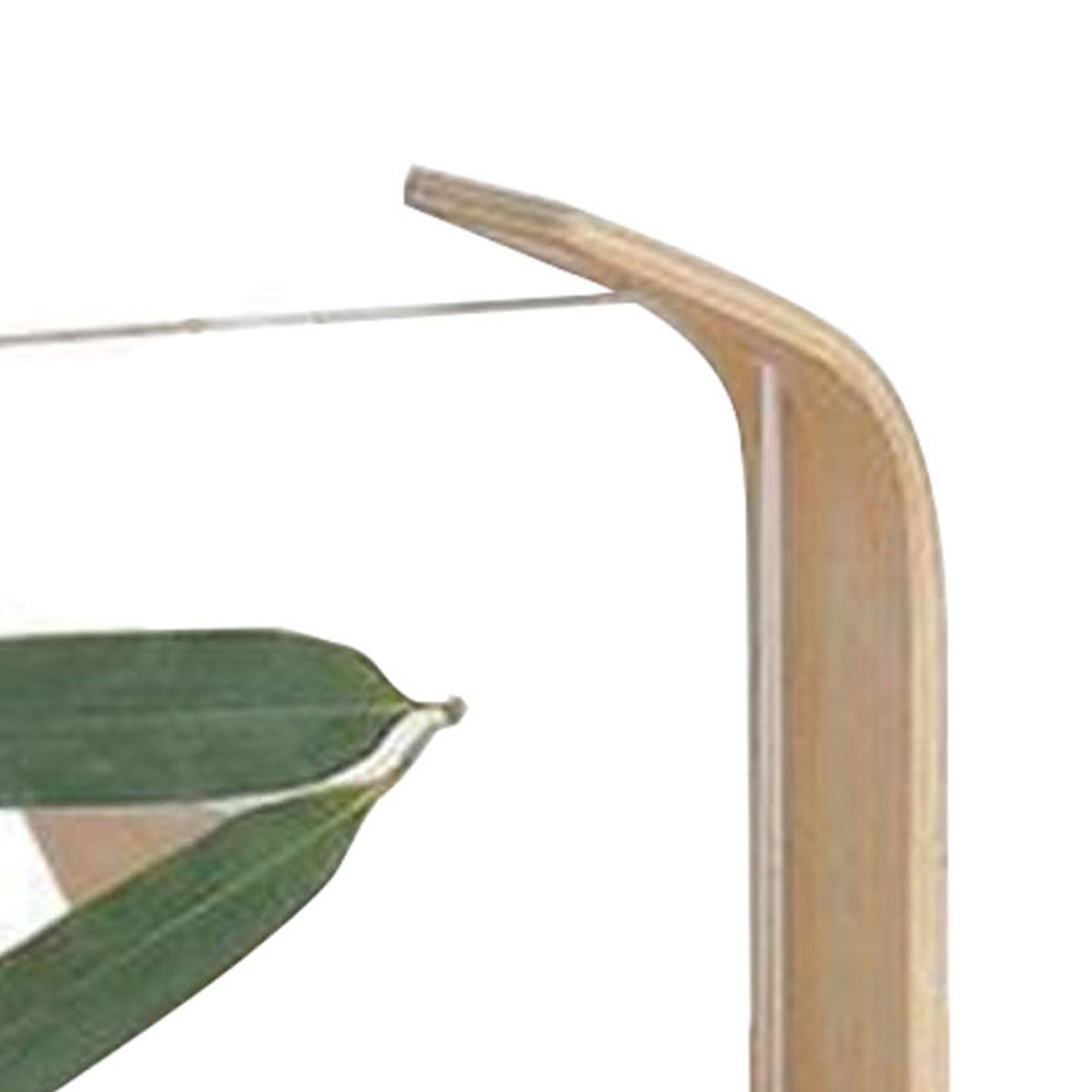 Desktop Plant Specimen Frame Wooden Acrylic Simple Modern Photo Frame Desktop Ornament Home Decoration - Image 8