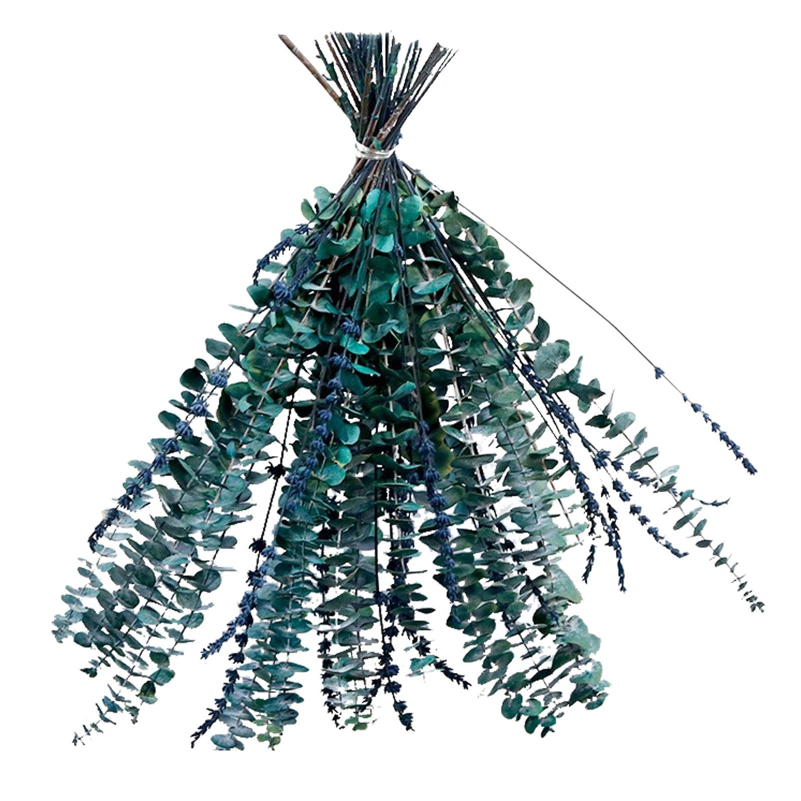 Natural Forever Eucalyptus Leaf Dried Real Eucalyptus Leaf Stems Bathroom Home Decor - Image 1