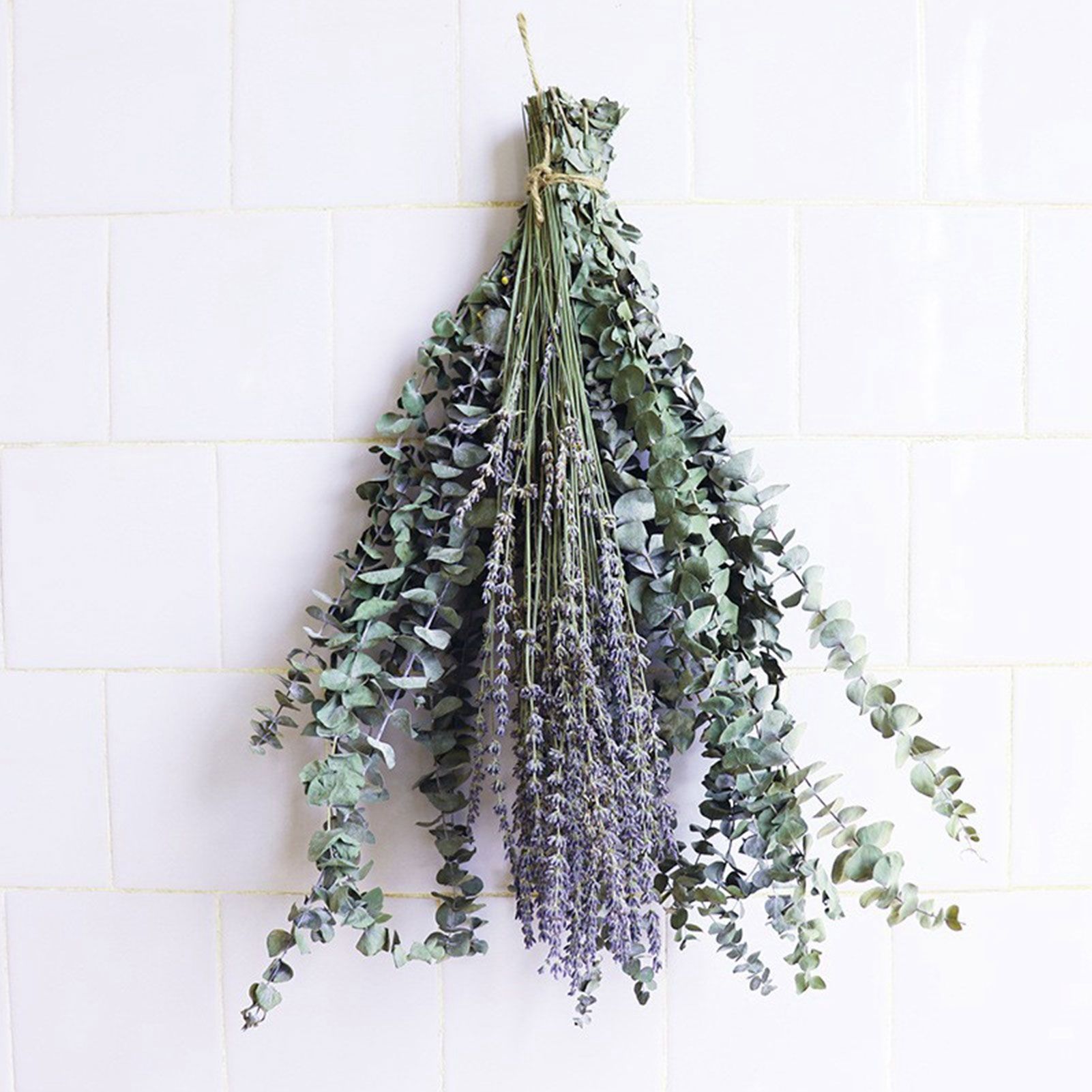 Natural Forever Eucalyptus Leaf Dried Real Eucalyptus Leaf Stems Bathroom Home Decor - Image 3