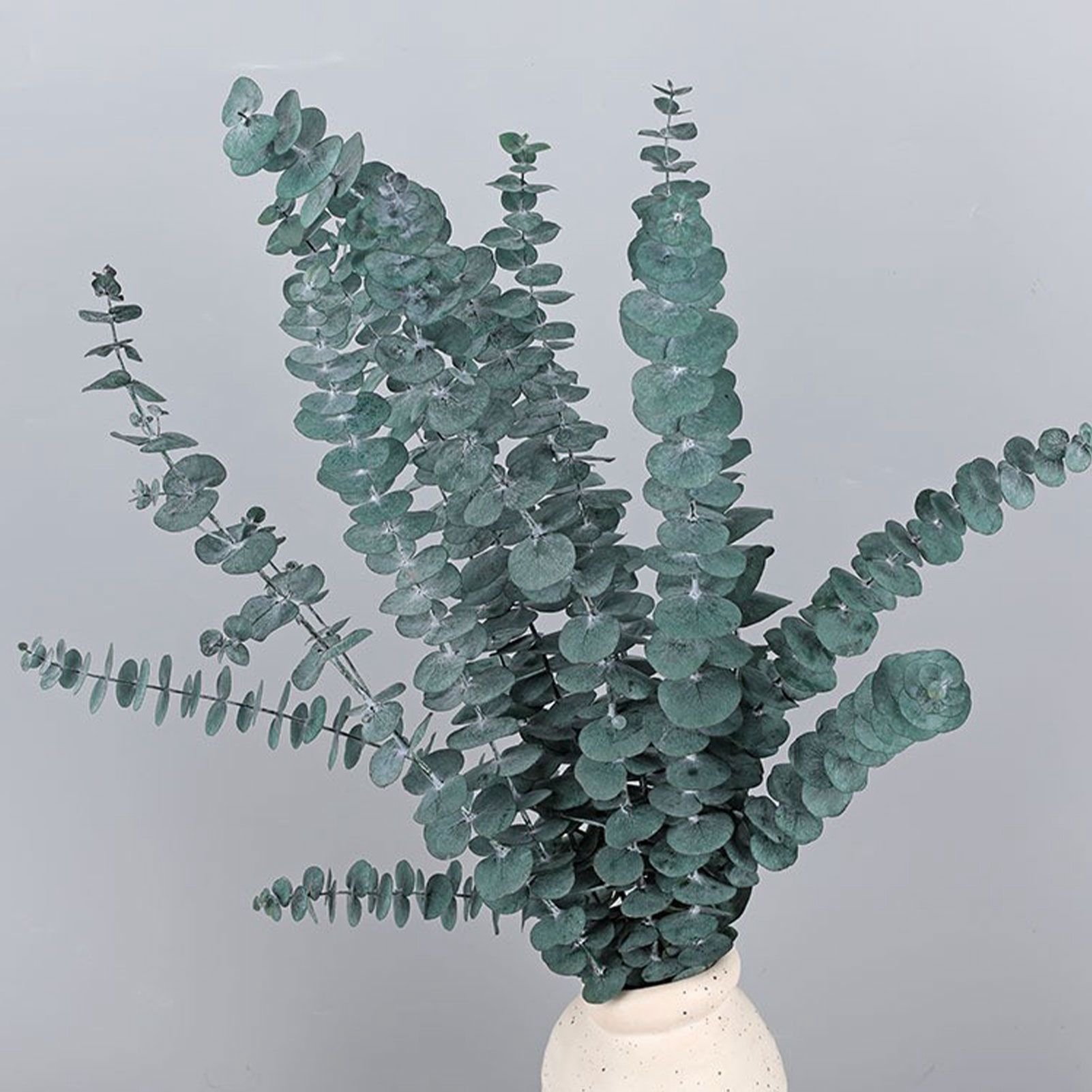 Natural Forever Eucalyptus Leaf Dried Real Eucalyptus Leaf Stems Bathroom Home Decor - Image 4