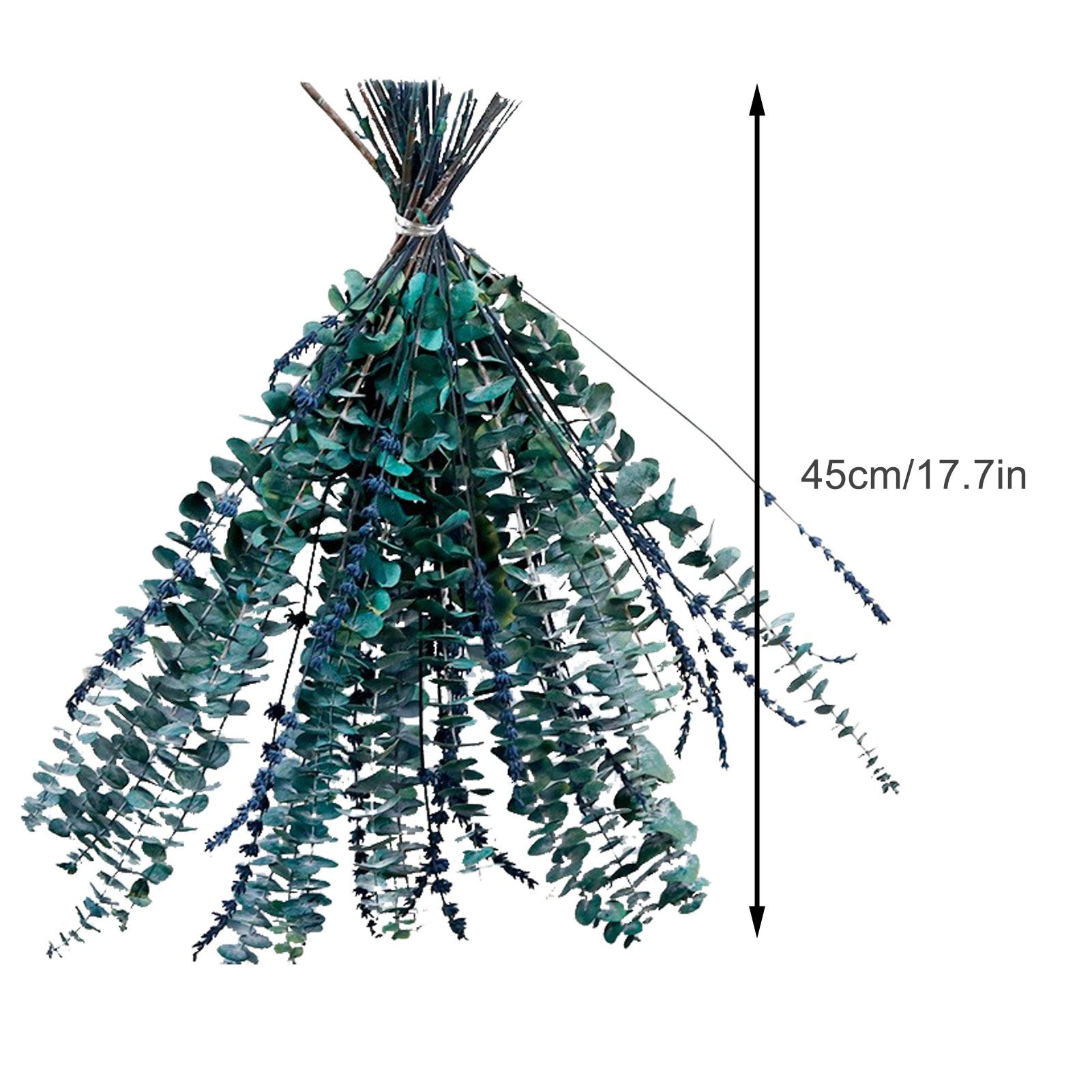 Natural Forever Eucalyptus Leaf Dried Real Eucalyptus Leaf Stems Bathroom Home Decor - Image 5