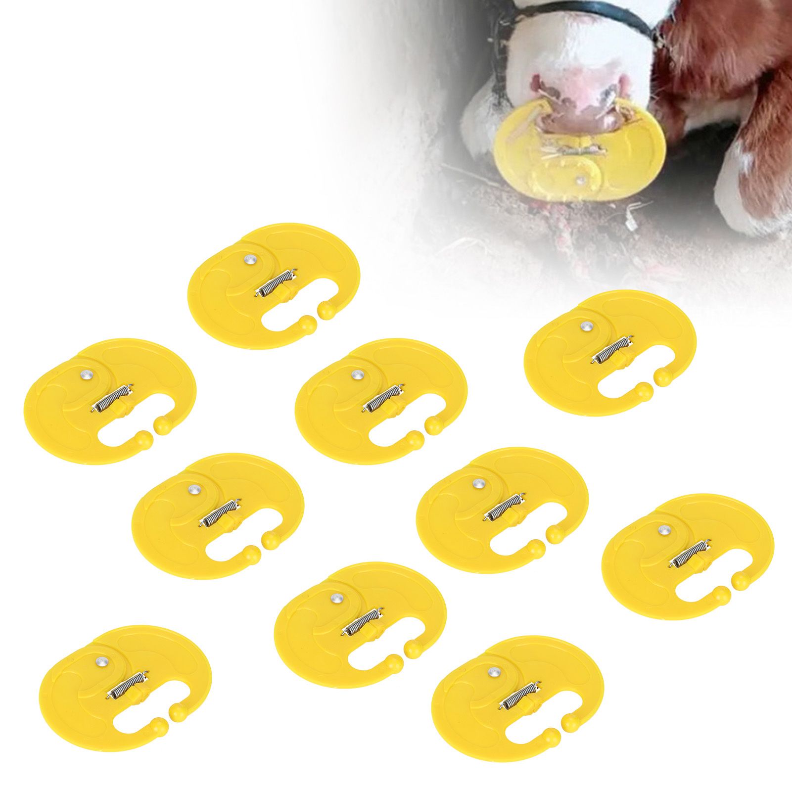 10 Pcs Calf Weaner Spring Lock High Tensile Strength Lengthened Widened PP Calf Nose Thorn Milk Sucking Preventer - Image 8