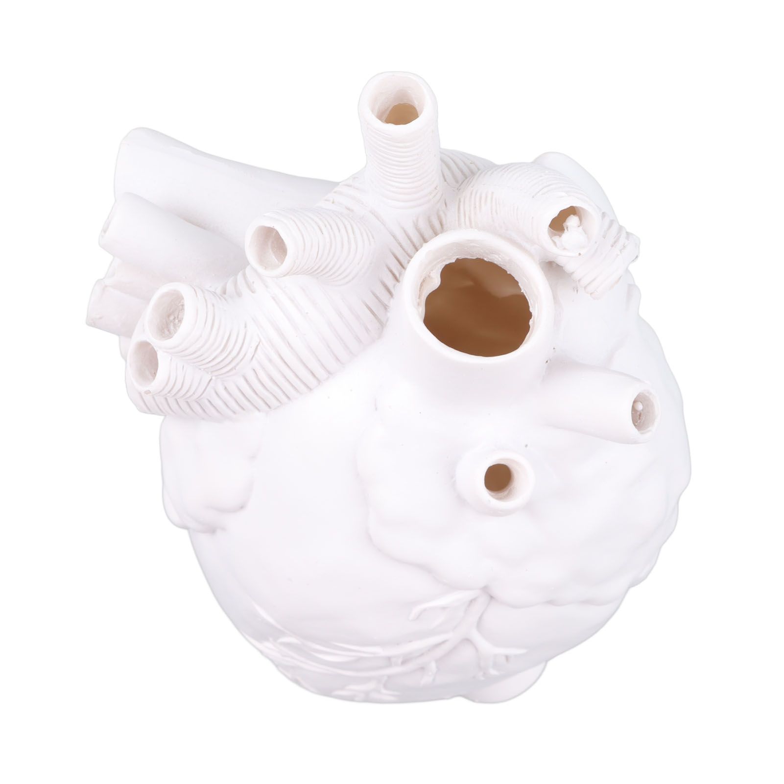 Creative Anatomical Heart Vases Resin Sculpture Heart Shaped Art Flower Vases Desktop Home Decoration for Living Room White - Image 1