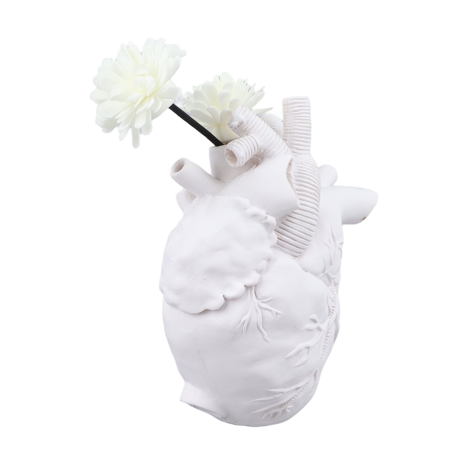 Creative Anatomical Heart Vases Resin Sculpture Heart Shaped Art Flower Vases Desktop Home Decoration for Living Room White - Image 2