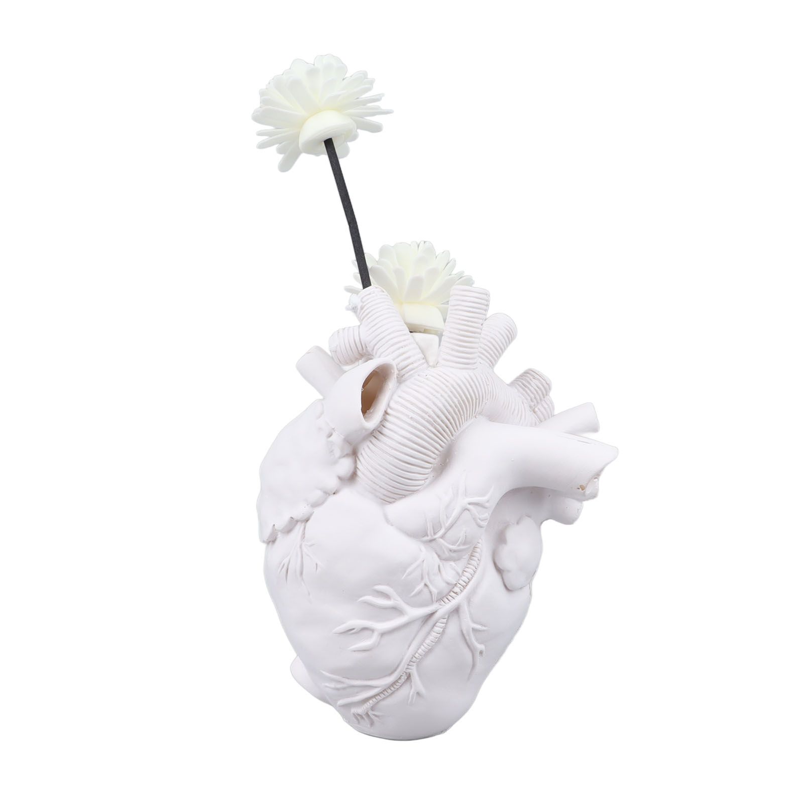 Creative Anatomical Heart Vases Resin Sculpture Heart Shaped Art Flower Vases Desktop Home Decoration for Living Room White - Image 3