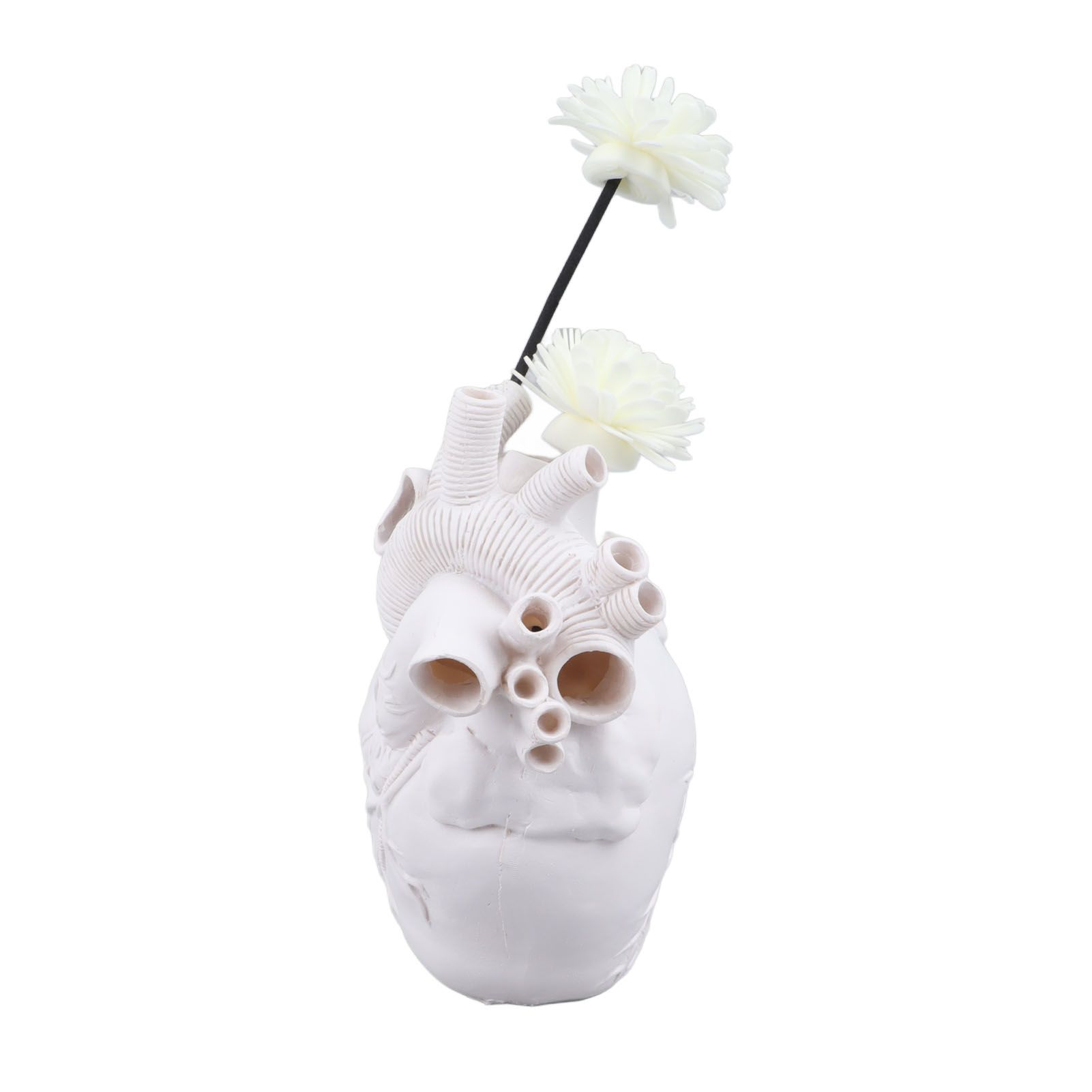 Creative Anatomical Heart Vases Resin Sculpture Heart Shaped Art Flower Vases Desktop Home Decoration for Living Room White - Image 4