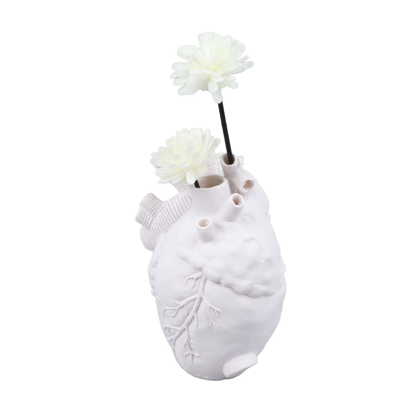 Creative Anatomical Heart Vases Resin Sculpture Heart Shaped Art Flower Vases Desktop Home Decoration for Living Room White - Image 6