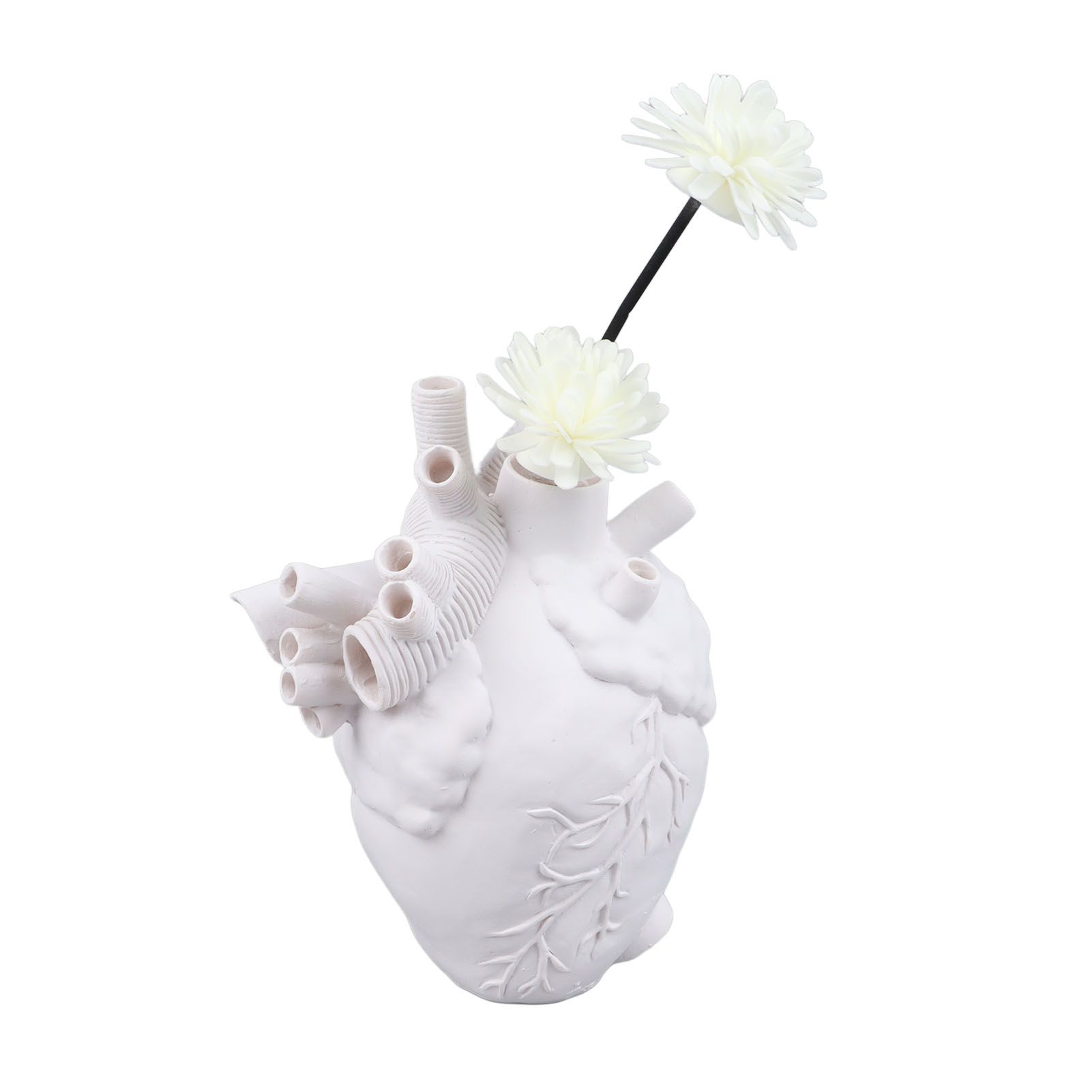 Creative Anatomical Heart Vases Resin Sculpture Heart Shaped Art Flower Vases Desktop Home Decoration for Living Room White - Image 7