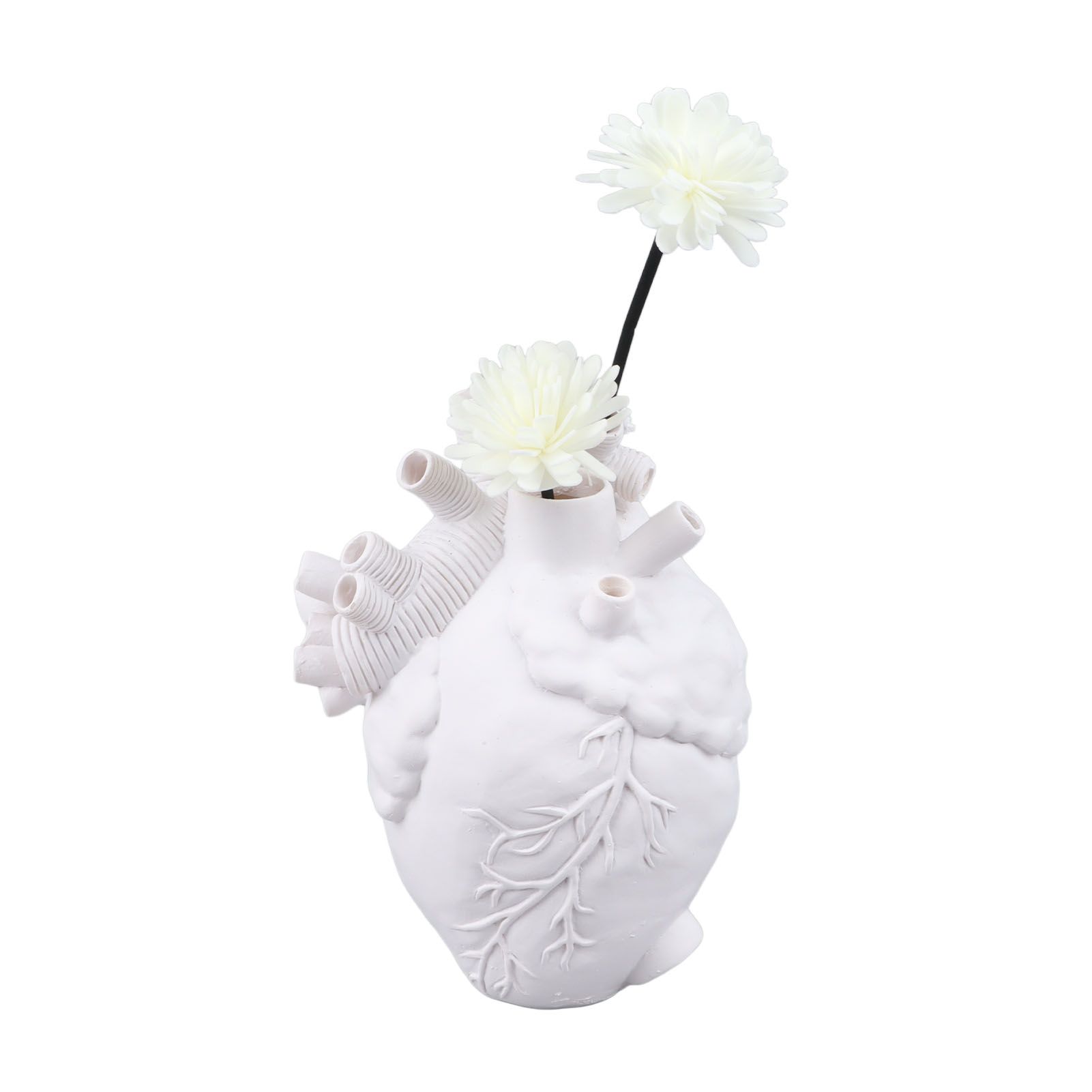 Creative Anatomical Heart Vases Resin Sculpture Heart Shaped Art Flower Vases Desktop Home Decoration for Living Room White - Image 8
