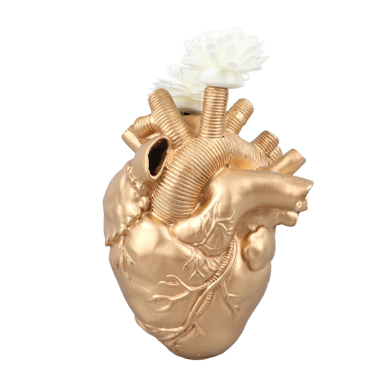 Creative Anatomical Heart Vases Resin Sculpture Heart Shaped Art Flower Vases Desktop Home Decoration for Living Room Gold - Image 4