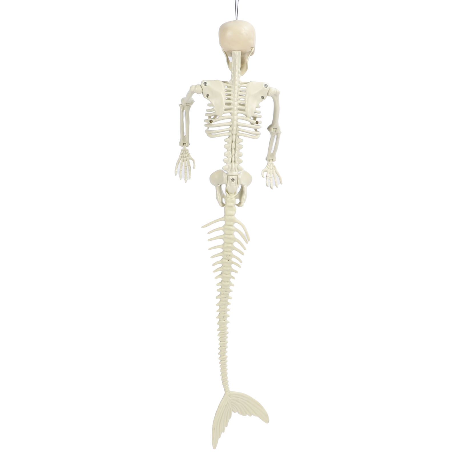 Halloween Skeleton Decoration Realistic Scary Skeleton Figurine Ornament for Haunted House Party Outdoor - Image 6
