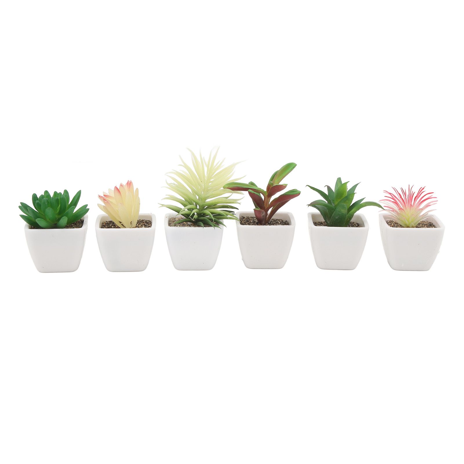6PCS Potted Artificial Succulents Artificial Plants in Pots Plastic Fake Home Plant Decor for Living Room Office - Image 6