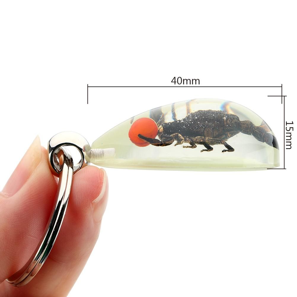 Glowing Insect Keychain Animal Specimens Keychain Resin Collectible Gift for Friends and Family - Image 2